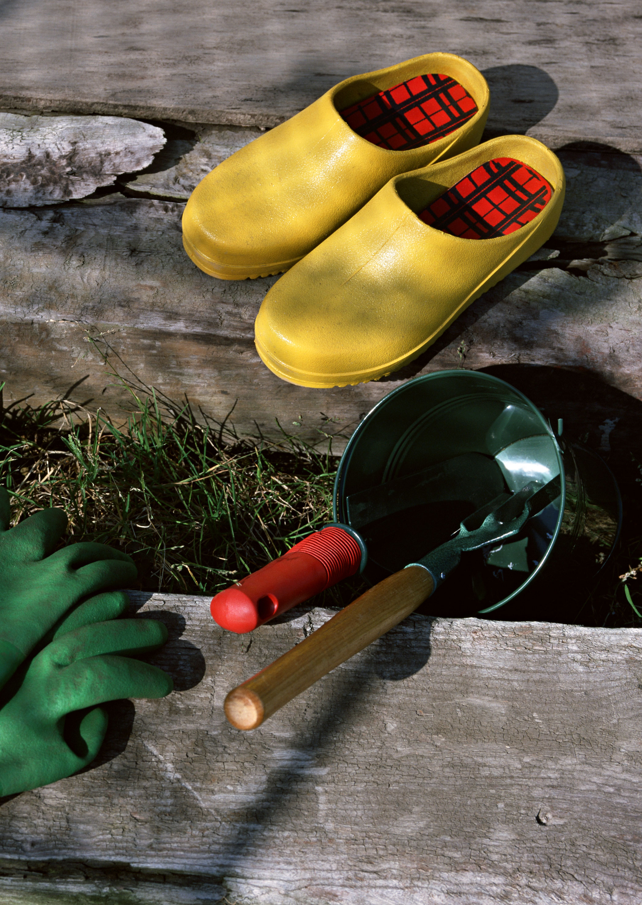 Free download high resolution image - free image free photo free stock image public domain picture -Gardening tools on grass on wooden background