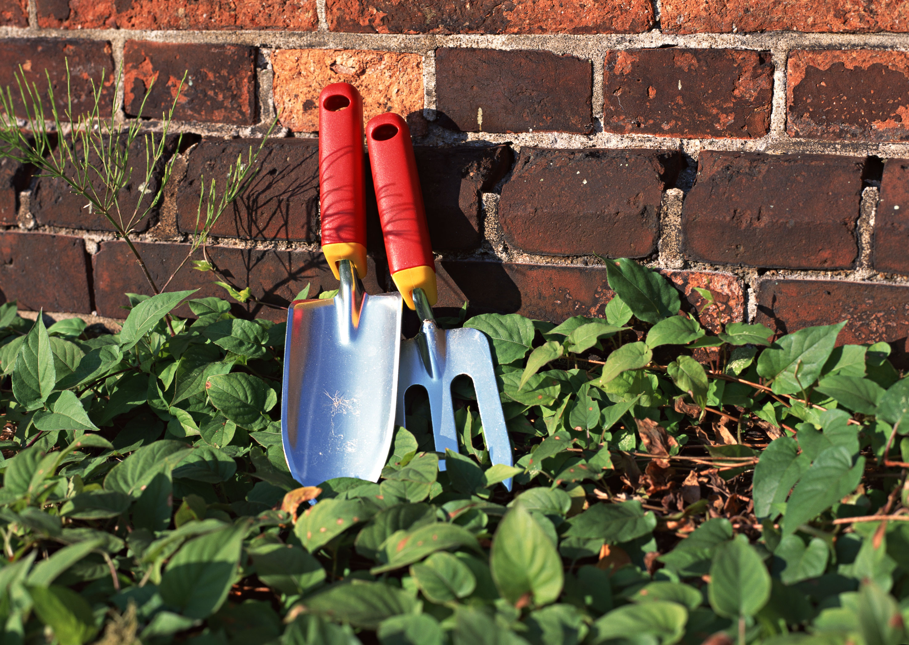 Free download high resolution image - free image free photo free stock image public domain picture -two gardening tools