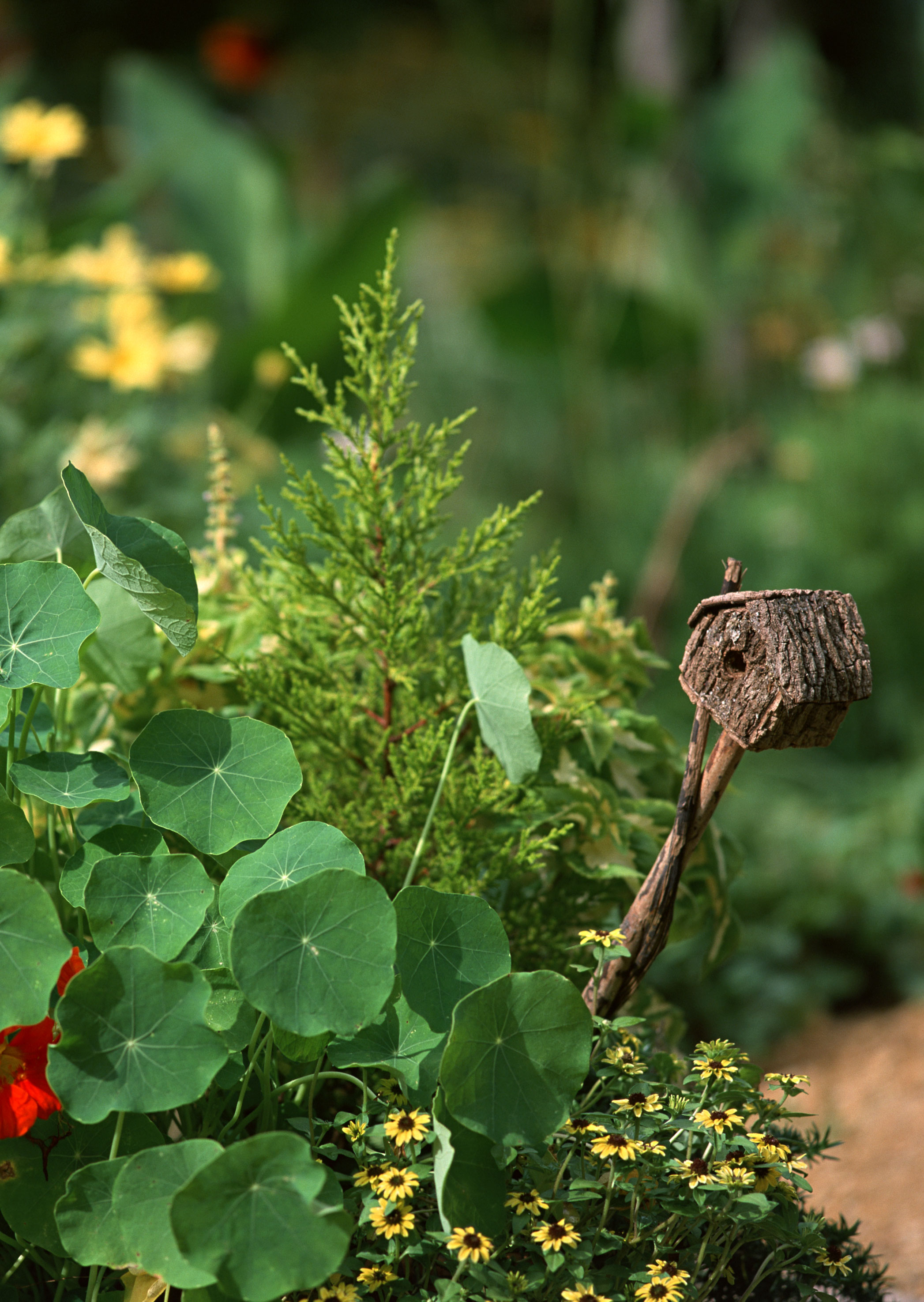 Free download high resolution image - free image free photo free stock image public domain picture -Birdhouse in garden outdoors