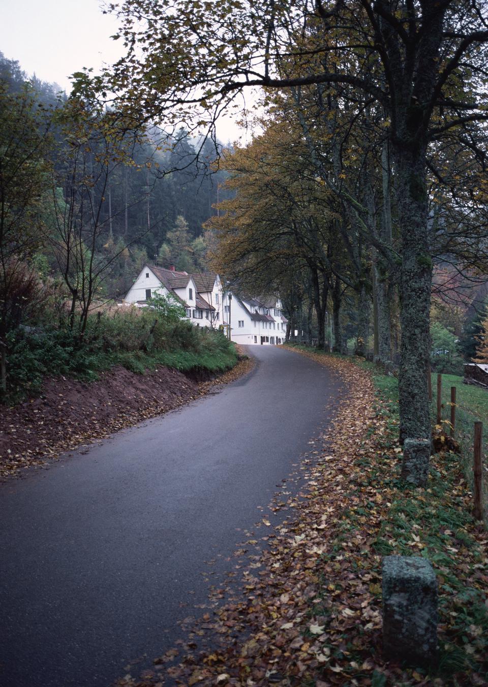 Free download high resolution image - free image free photo free stock image public domain picture  Autumn landscape with road