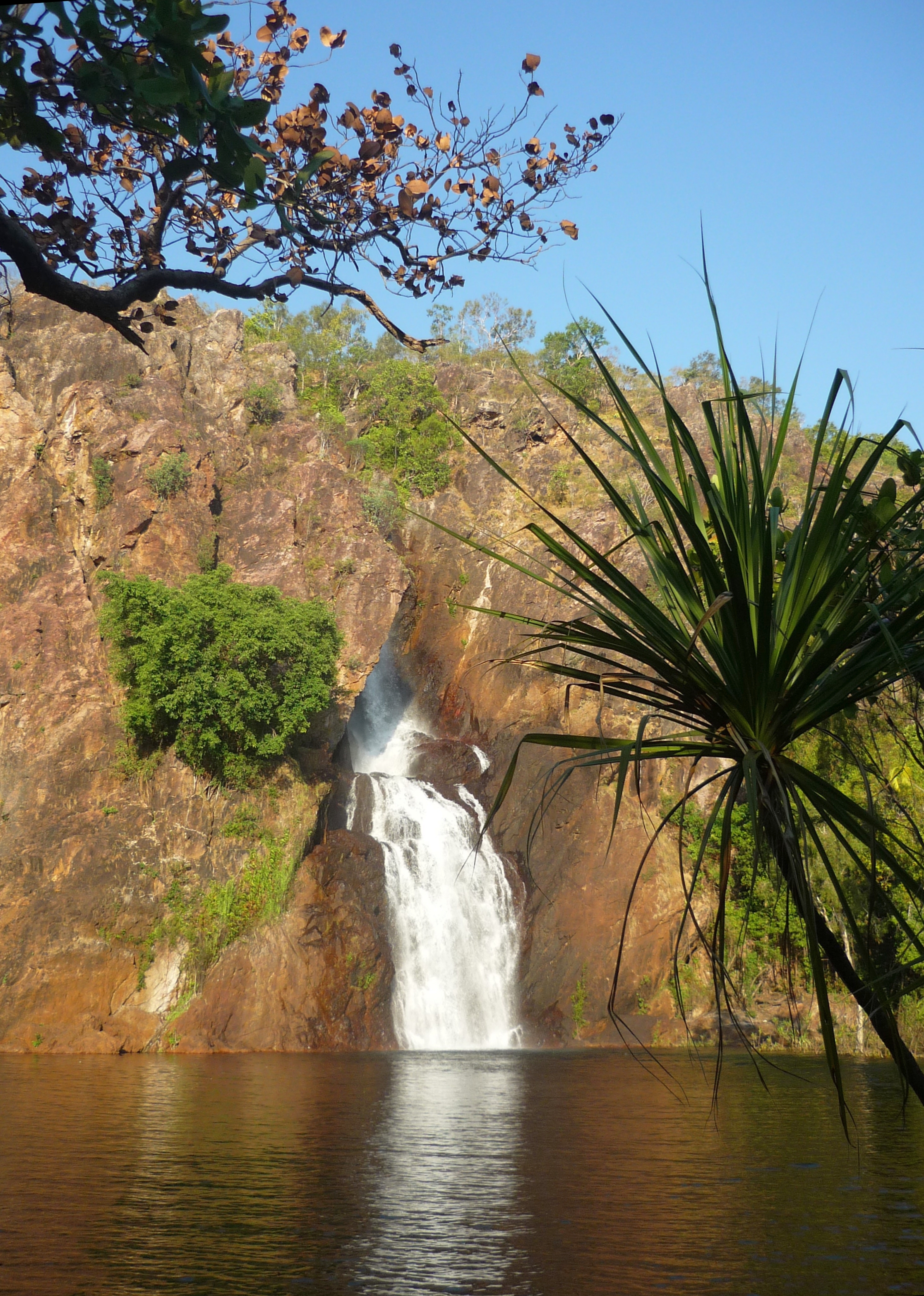 Free download high resolution image - free image free photo free stock image public domain picture -Wangi Falls, Litchfield National Park, Australia