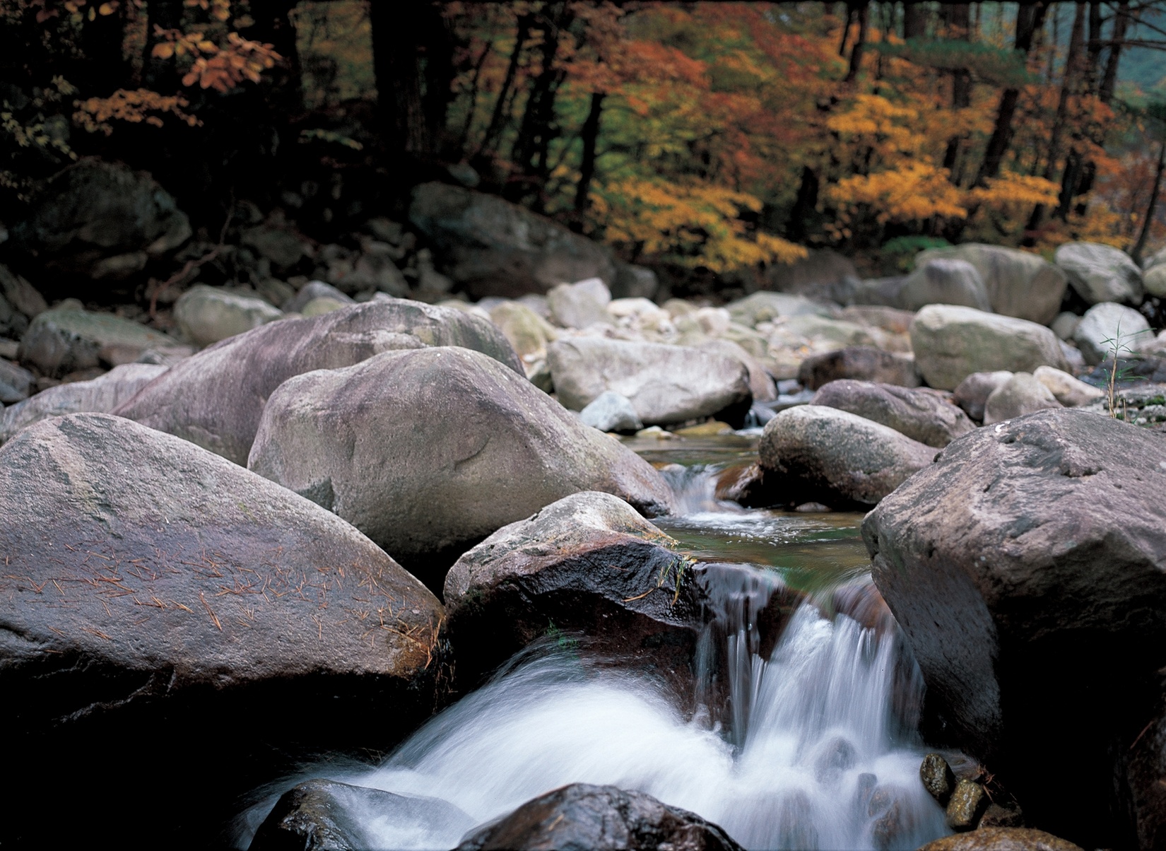 Free download high resolution image - free image free photo free stock image public domain picture -fall forest stream