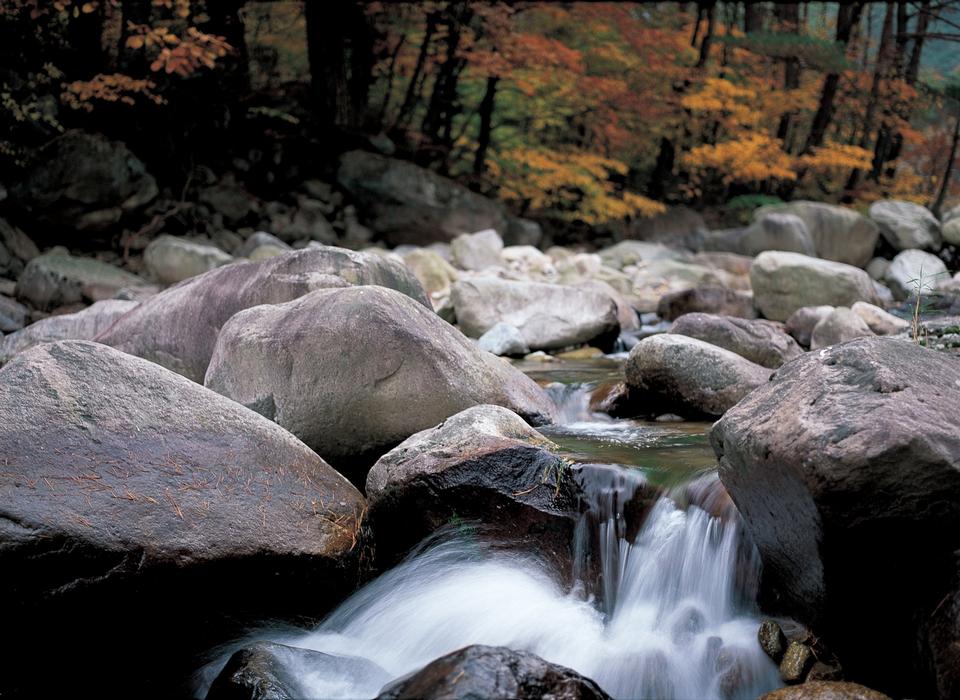 Free download high resolution image - free image free photo free stock image public domain picture  fall forest stream