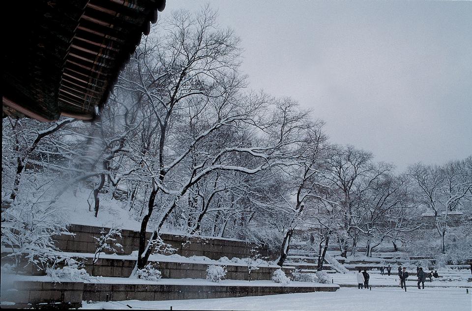 Free download high resolution image - free image free photo free stock image public domain picture  Temple in snow