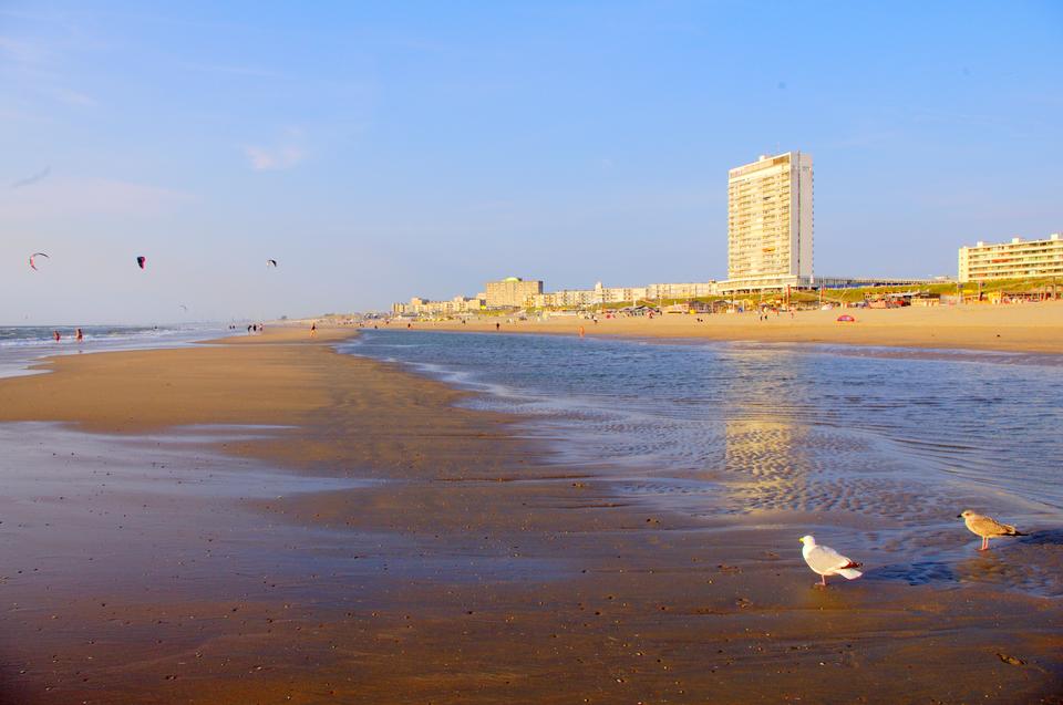 Free download high resolution image - free image free photo free stock image public domain picture  North sea beach Zandvoort North Holland