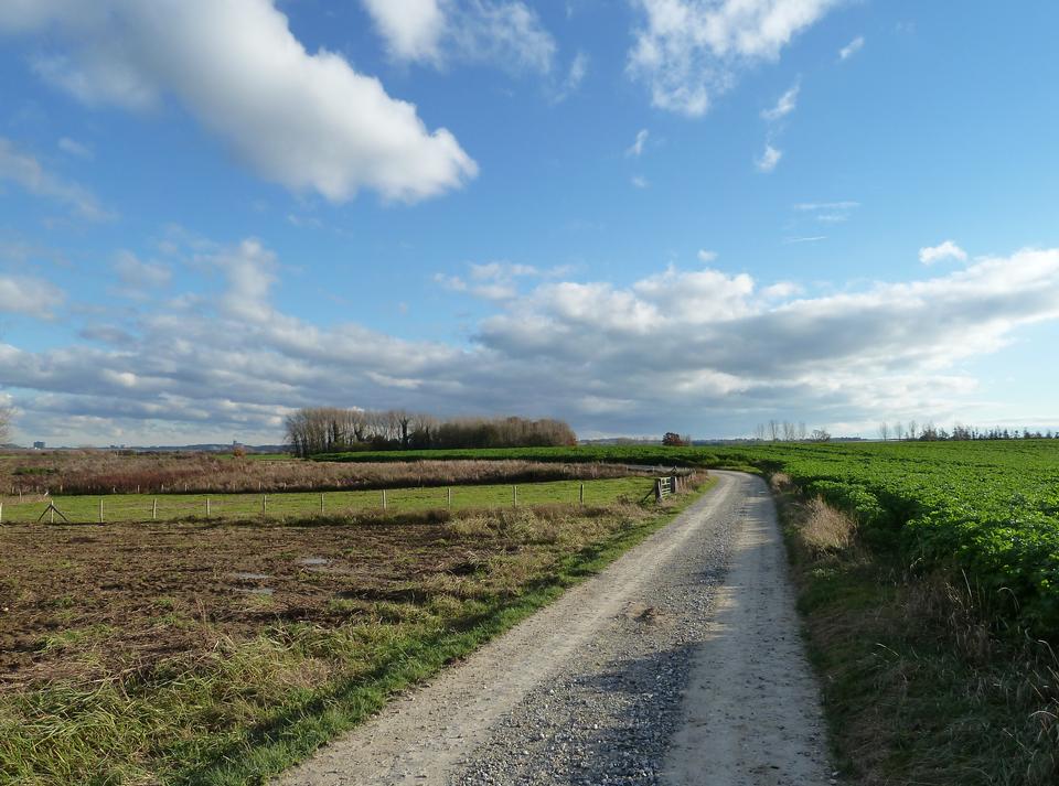 Free download high resolution image - free image free photo free stock image public domain picture  Field south of Bisseweg in Limburg, Netherlands