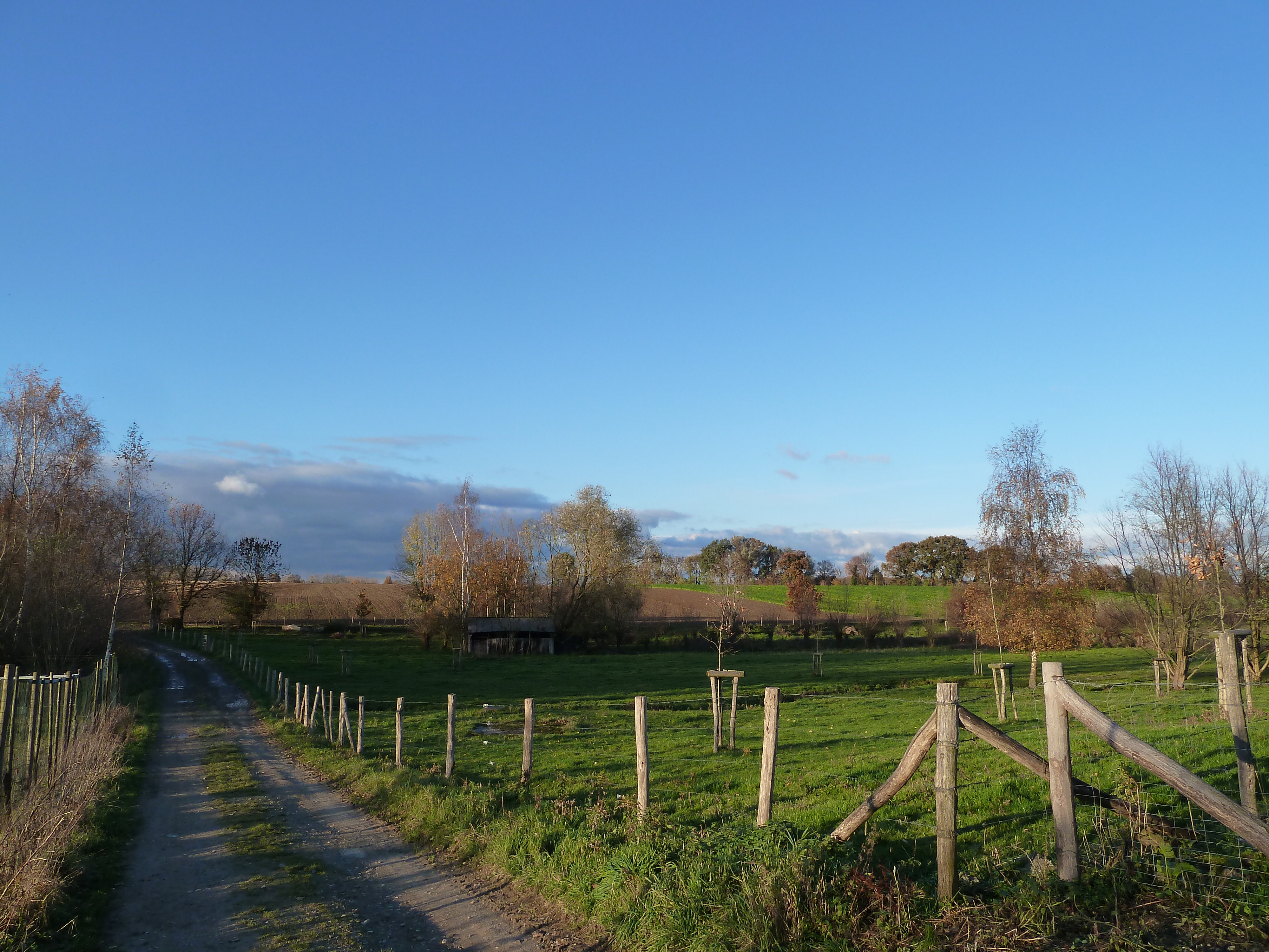 Free download high resolution image - free image free photo free stock image public domain picture -Field south of Bisseweg in Limburg, Netherlands