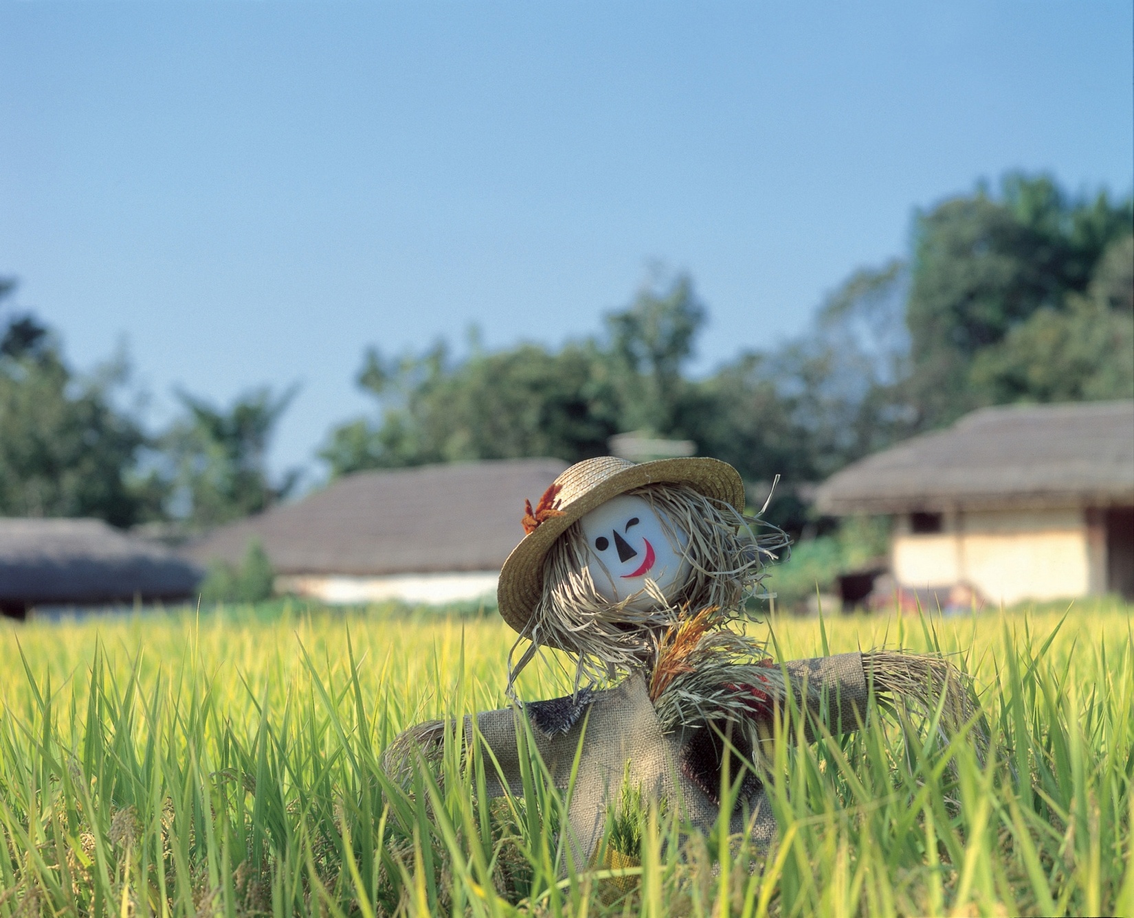 Free download high resolution image - free image free photo free stock image public domain picture -Scarecrow in green rice fields