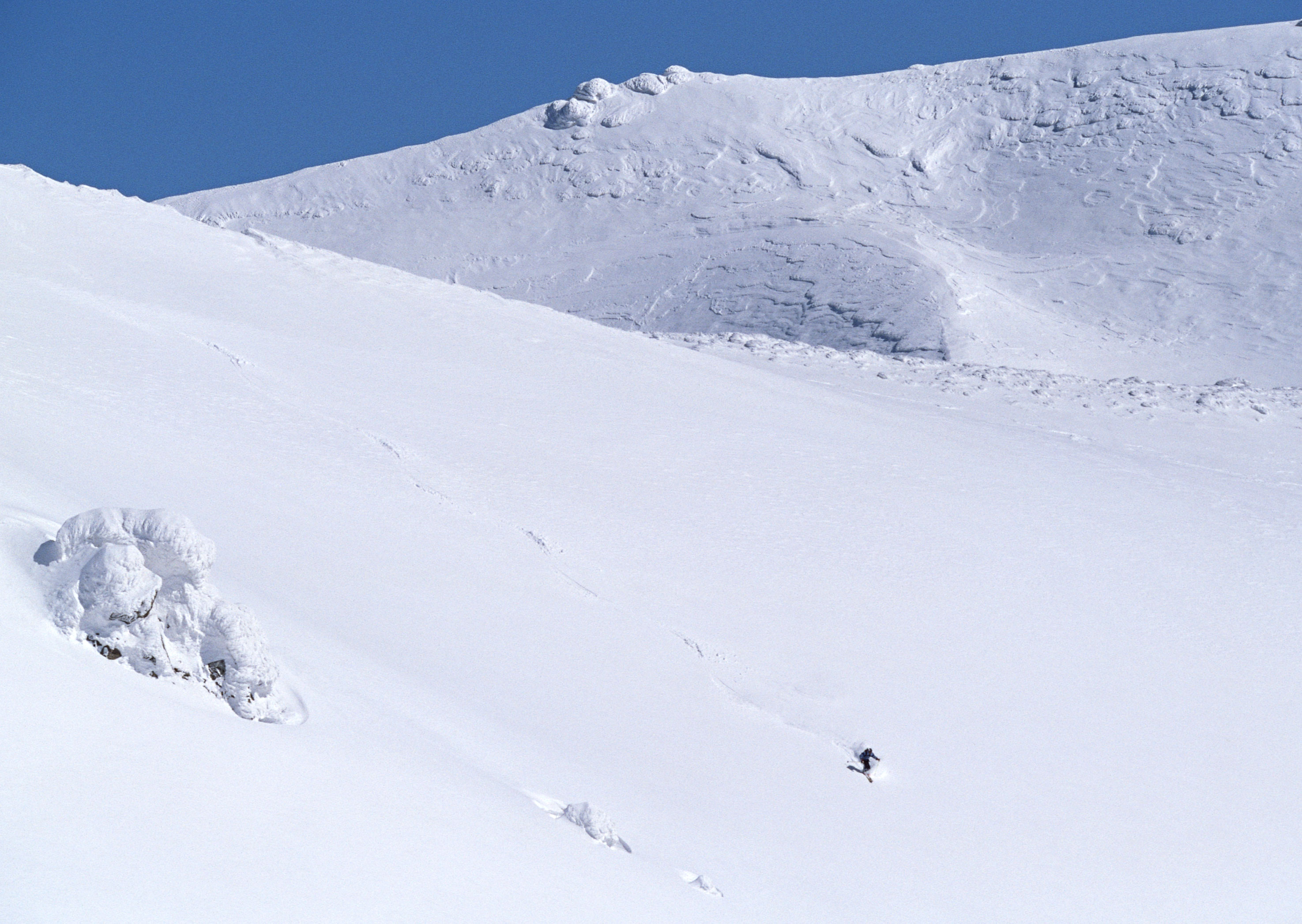 Free download high resolution image - free image free photo free stock image public domain picture -skier skiing on fresh powder snow