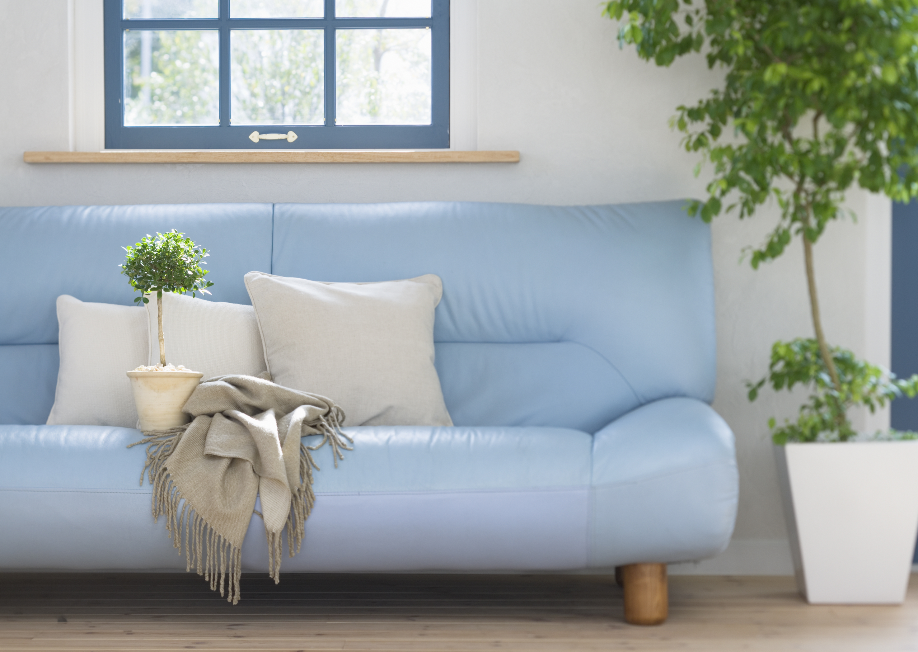 Free download high resolution image - free image free photo free stock image public domain picture -Interior of living room with blue sofa and window