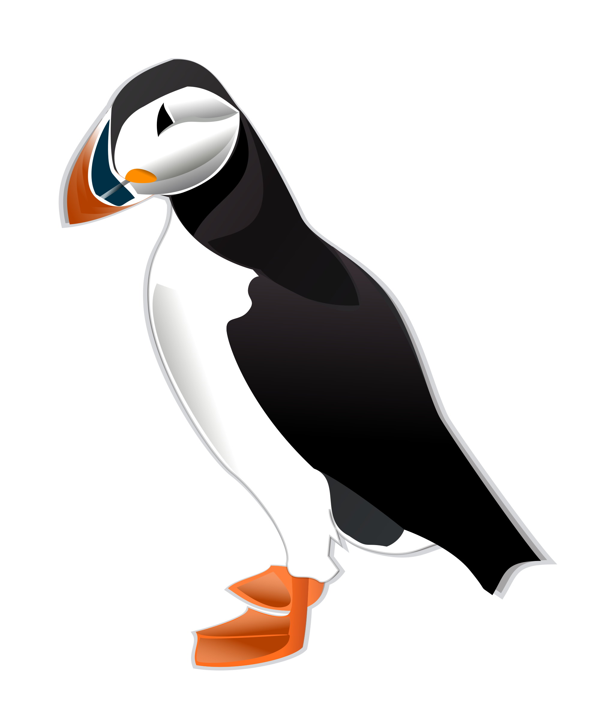 Free download high resolution image - free image free photo free stock image public domain picture -Atlantic Puffin Illustration