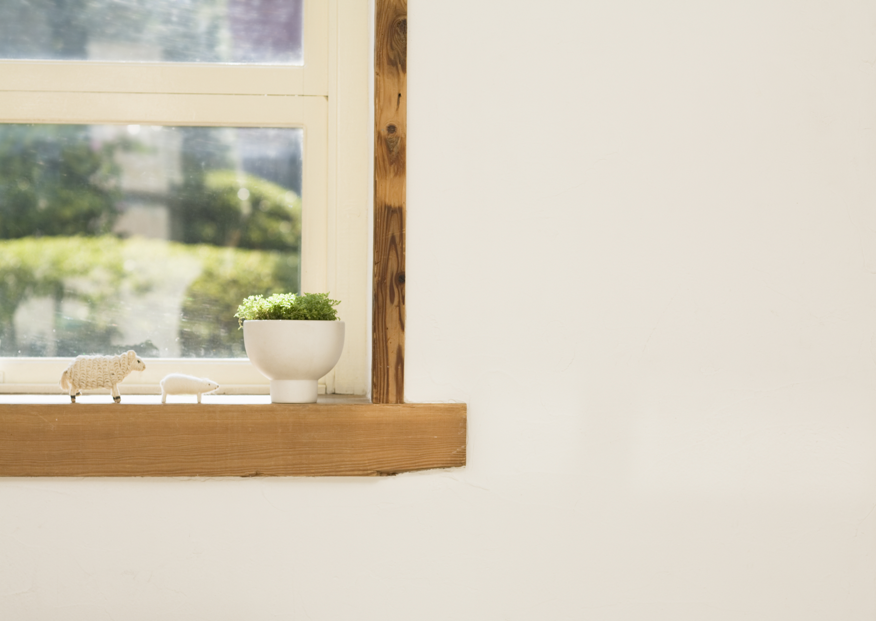 Free download high resolution image - free image free photo free stock image public domain picture -interior design scene with a plant on the window