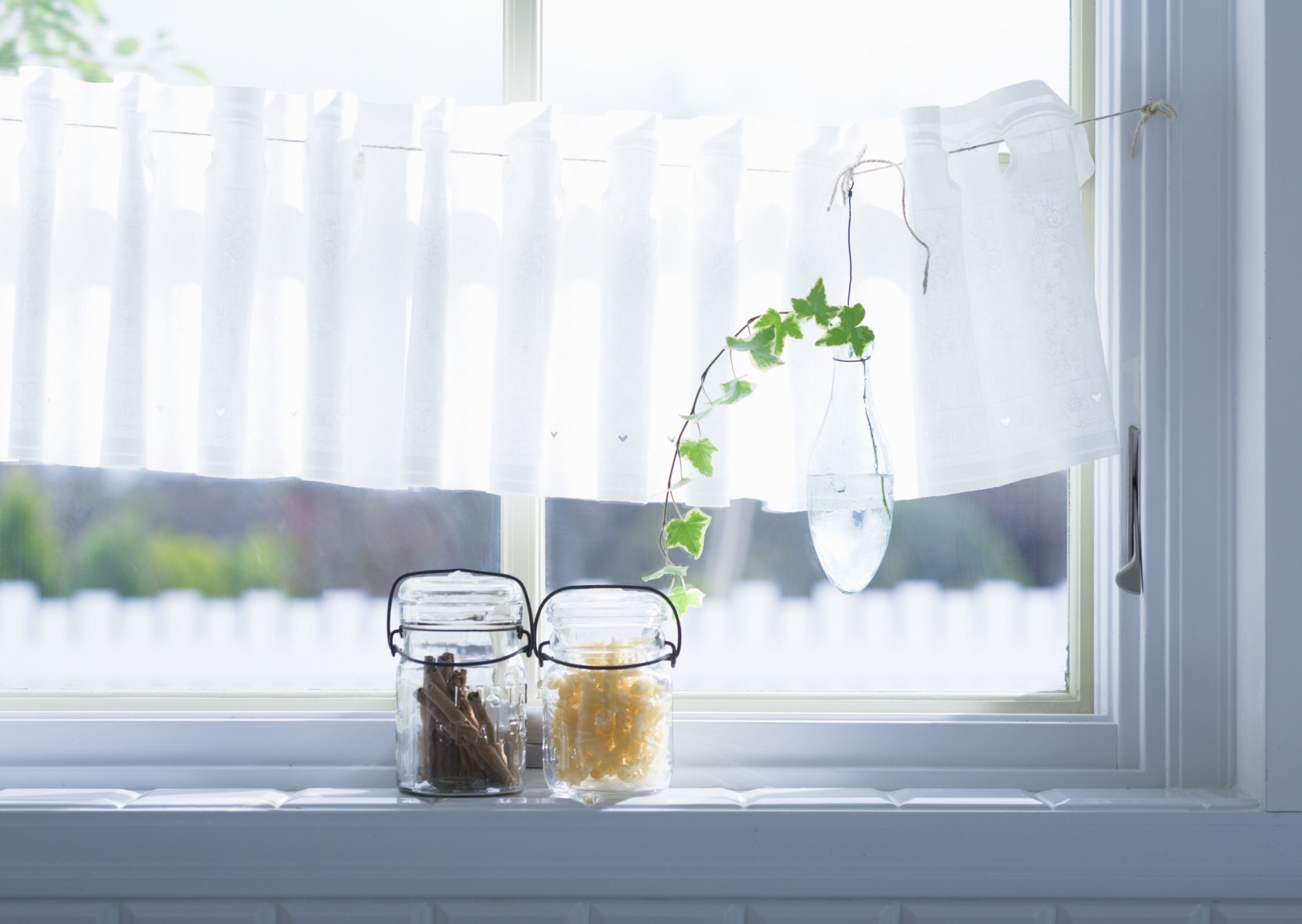 Free download high resolution image - free image free photo free stock image public domain picture -home interior decoration: the branches in vintage bottles