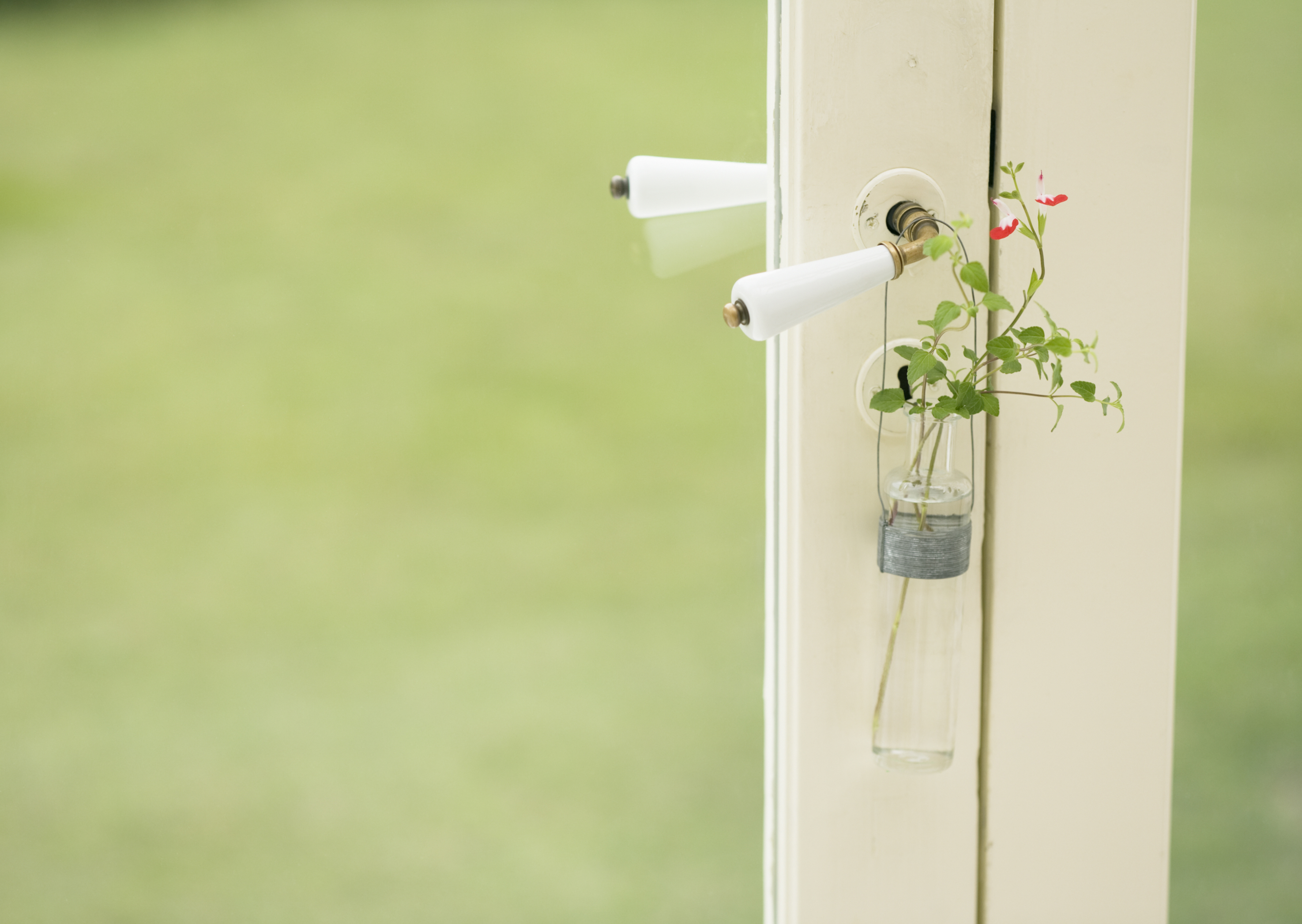 Free download high resolution image - free image free photo free stock image public domain picture -Plants and door