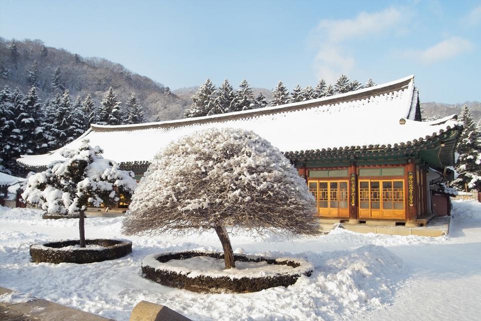 Free download high resolution image - free image free photo free stock image public domain picture  Temple in snow