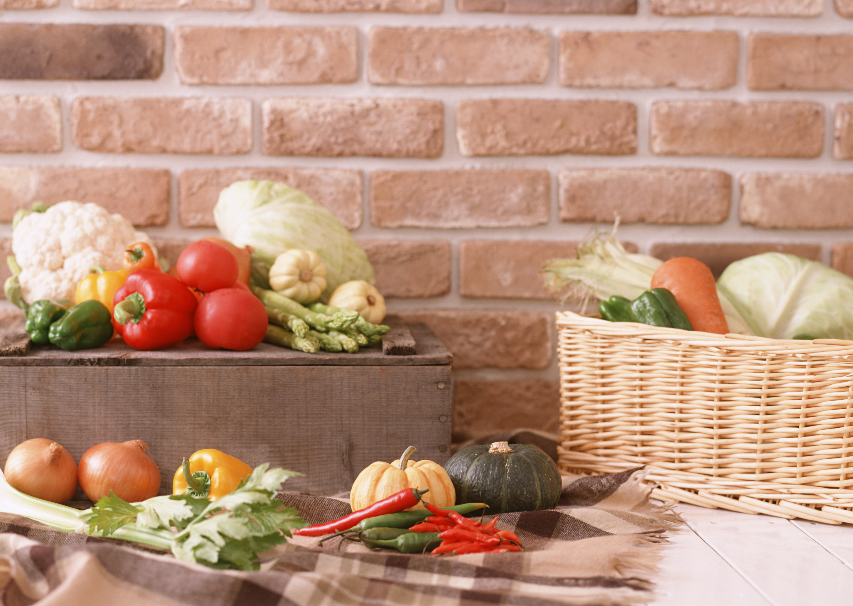 Free download high resolution image - free image free photo free stock image public domain picture -Vegetables . Fresh Bio Vegetable in a Basket.