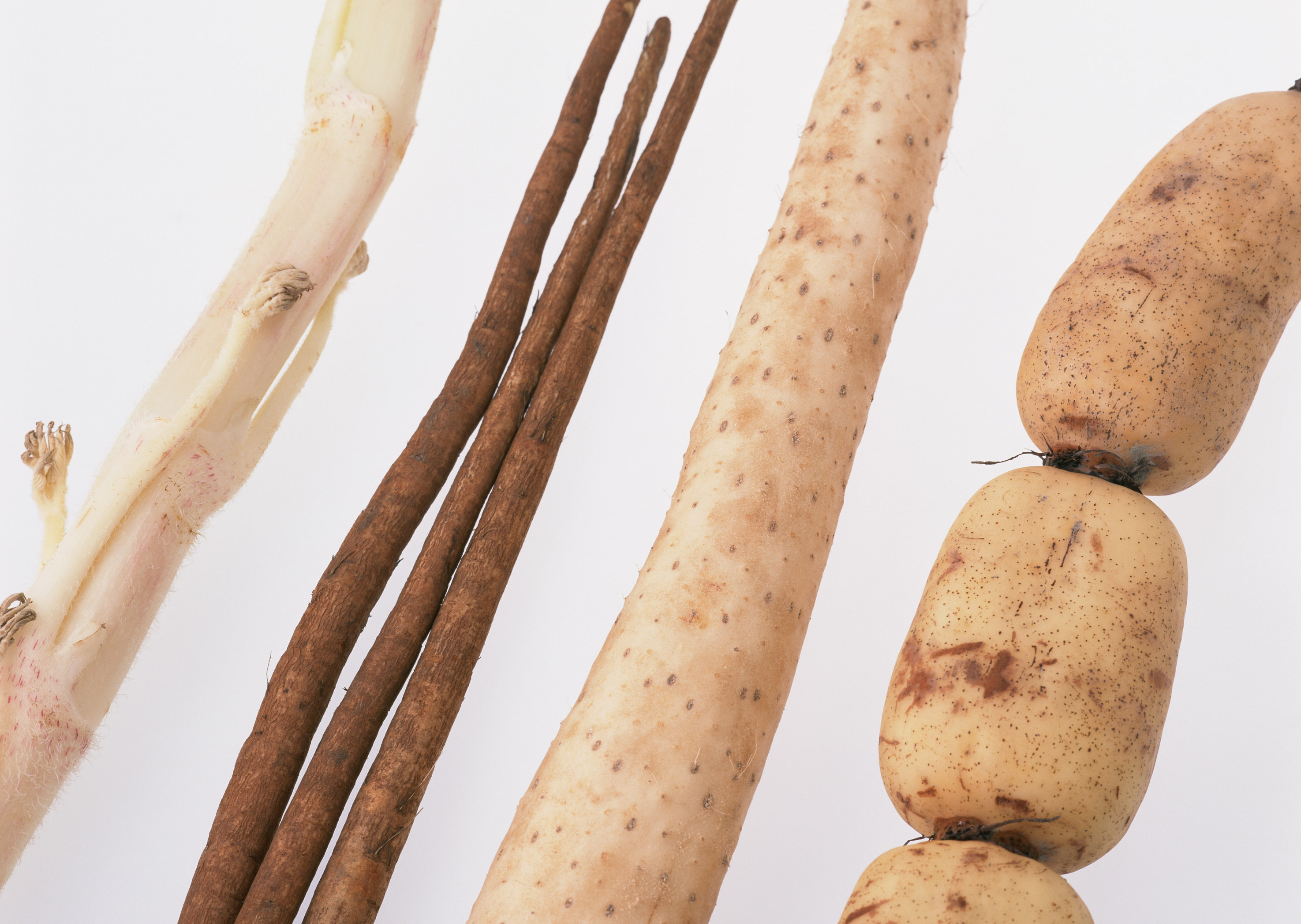 Free download high resolution image - free image free photo free stock image public domain picture -Lotus root,Yams and edible roots and plants