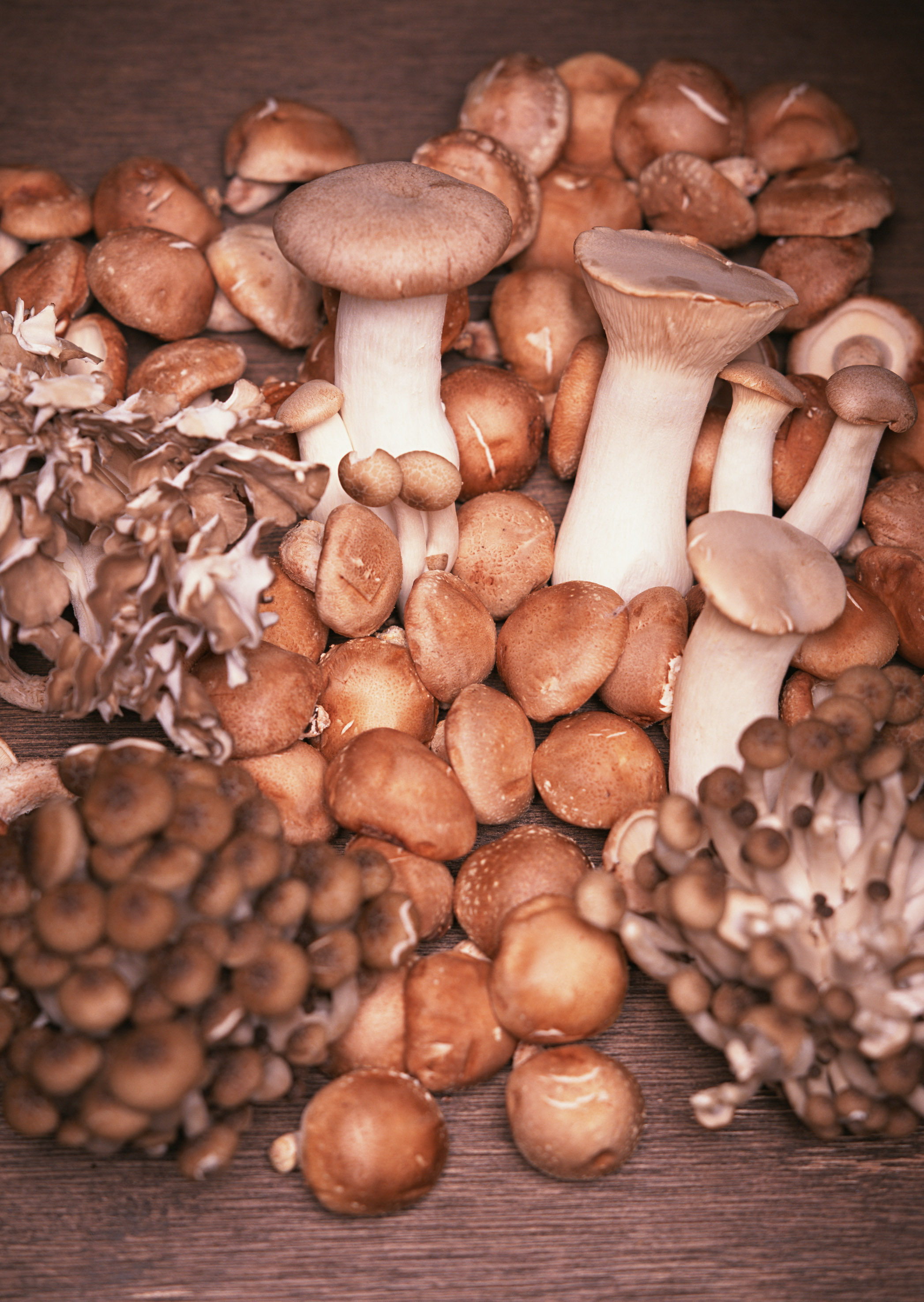 Free download high resolution image - free image free photo free stock image public domain picture -Different types of edible mushrooms on wooden table.