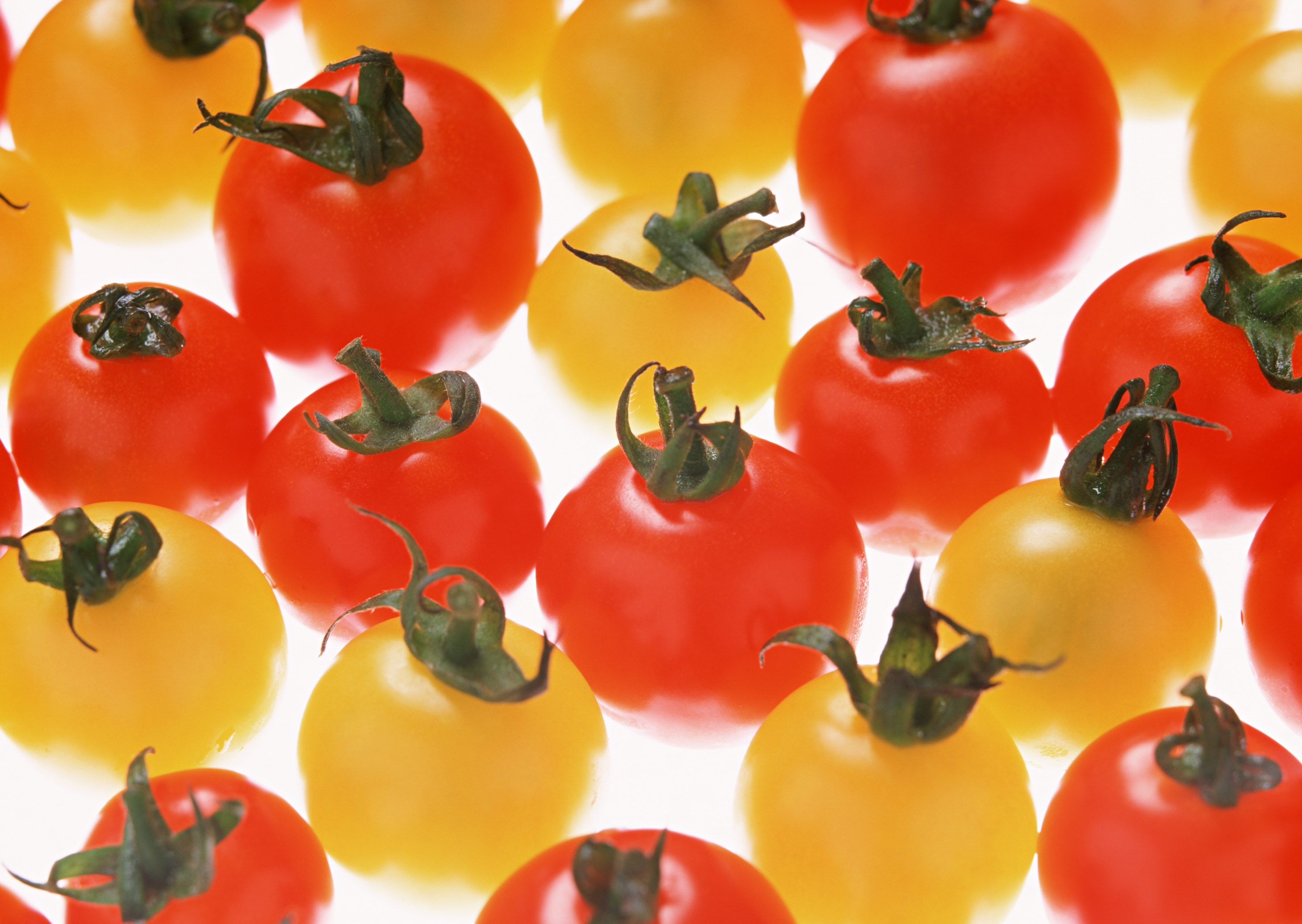 Free download high resolution image - free image free photo free stock image public domain picture -colorful tomatoes