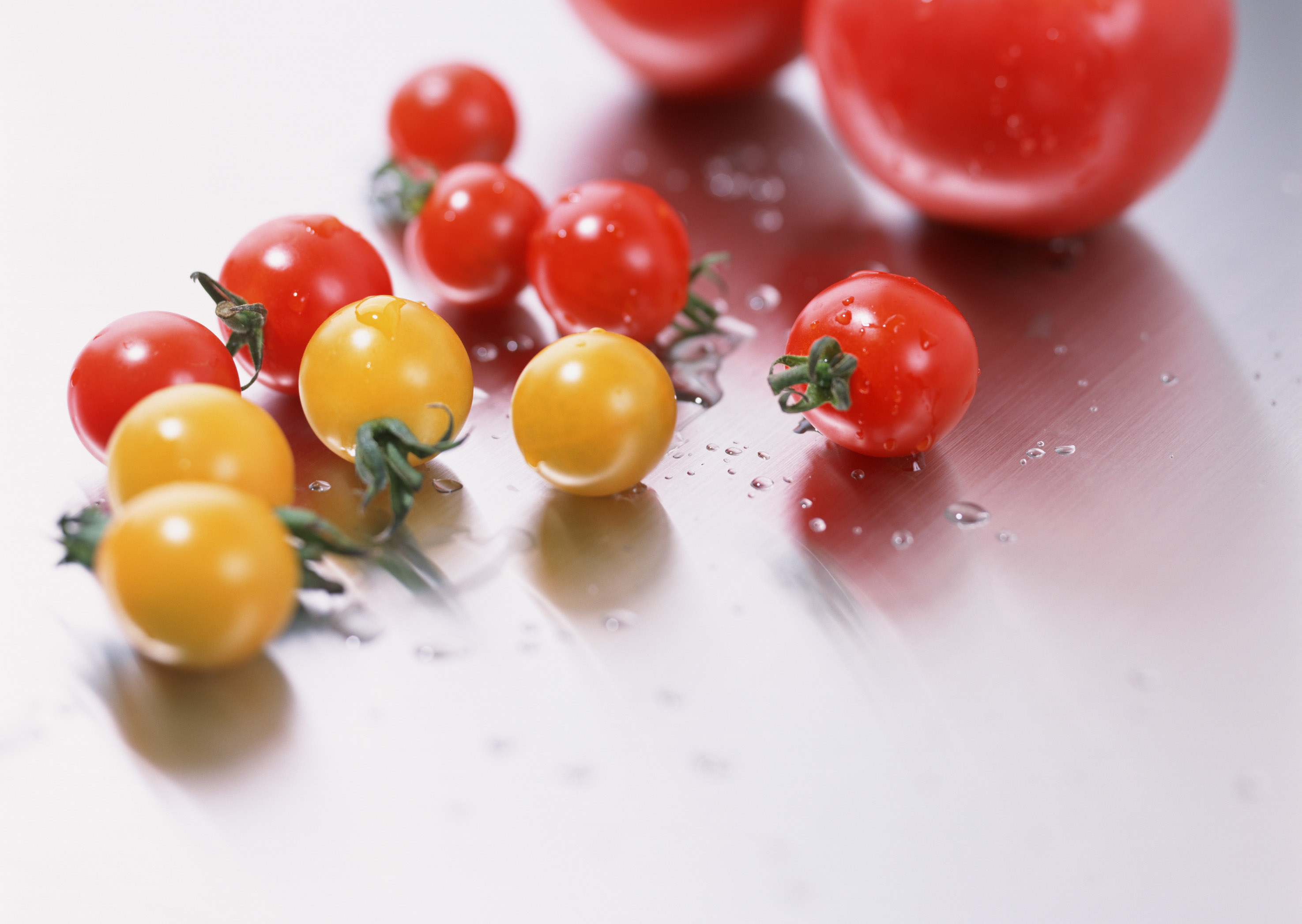 Free download high resolution image - free image free photo free stock image public domain picture -Tomato with drop of water