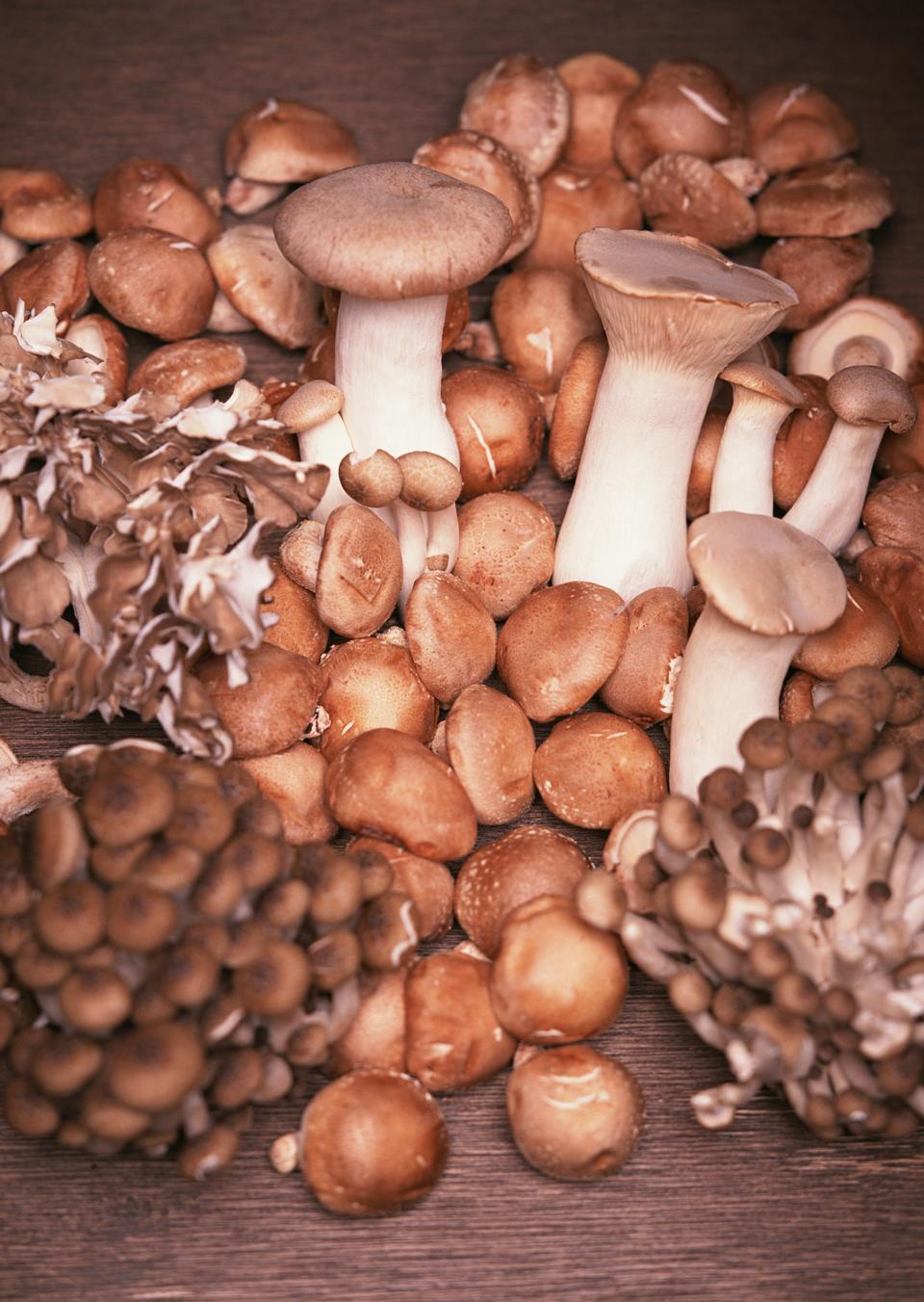 Free download high resolution image - free image free photo free stock image public domain picture  Different types of edible mushrooms on wooden table.