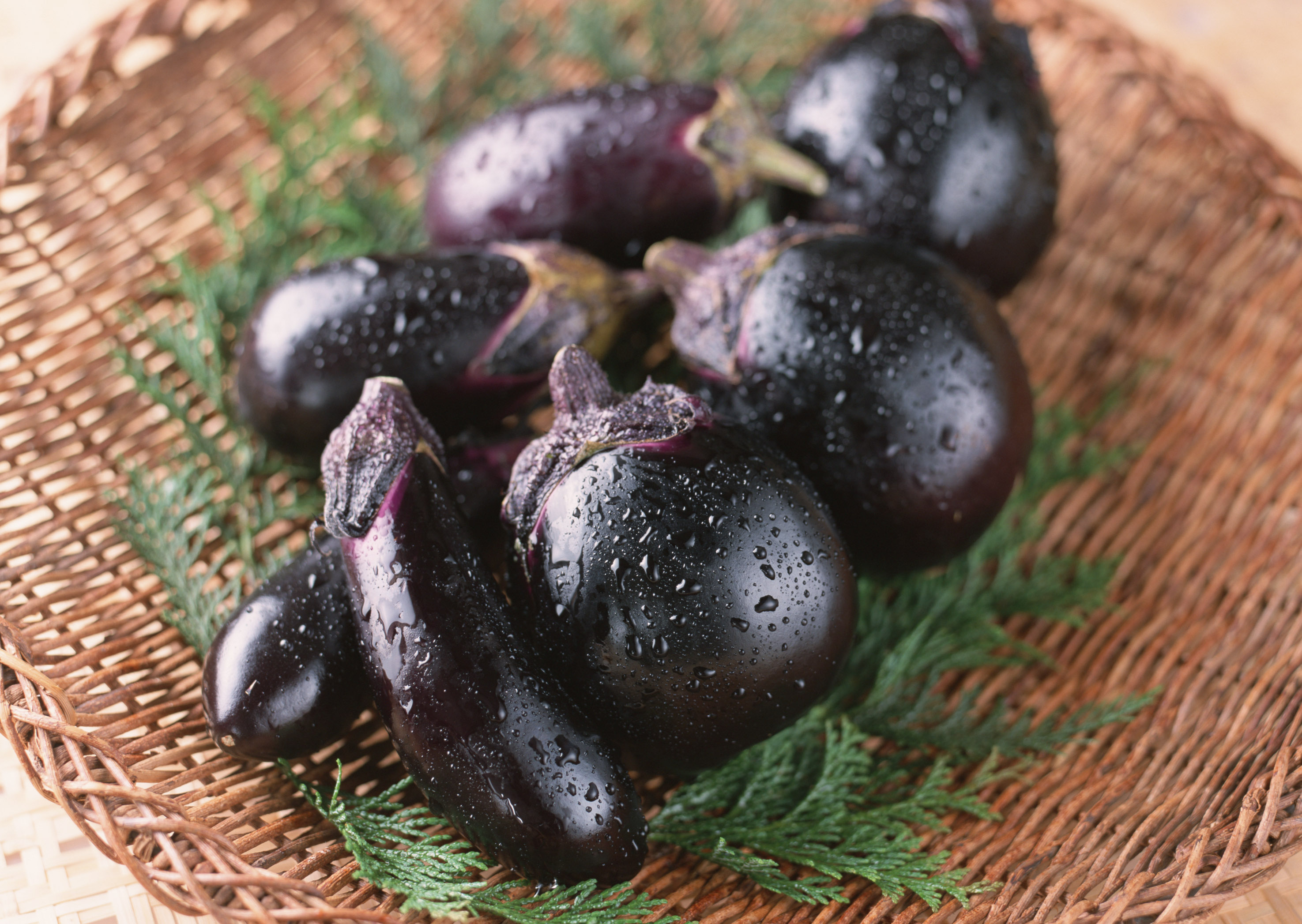 Free download high resolution image - free image free photo free stock image public domain picture -Round aubergines in a basket