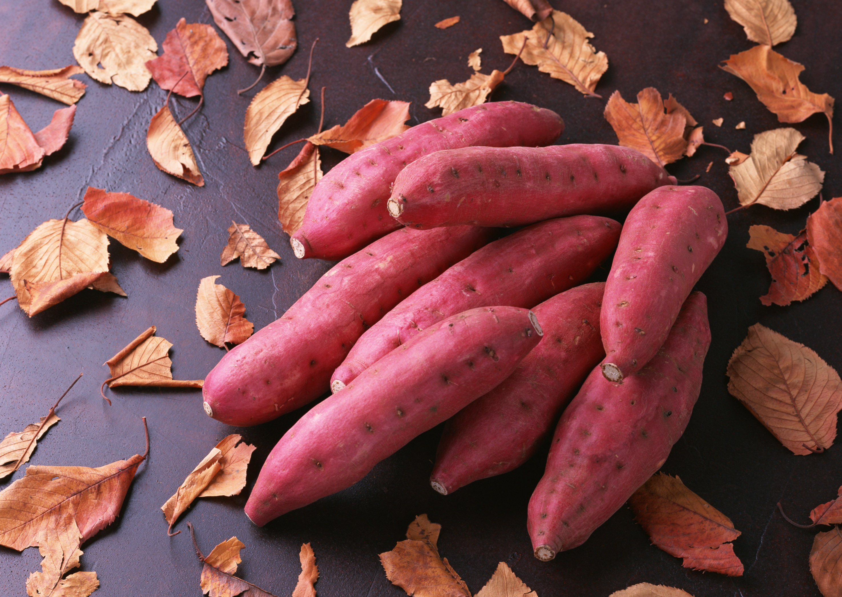 Free download high resolution image - free image free photo free stock image public domain picture -fresh organic sweet potatoes on table