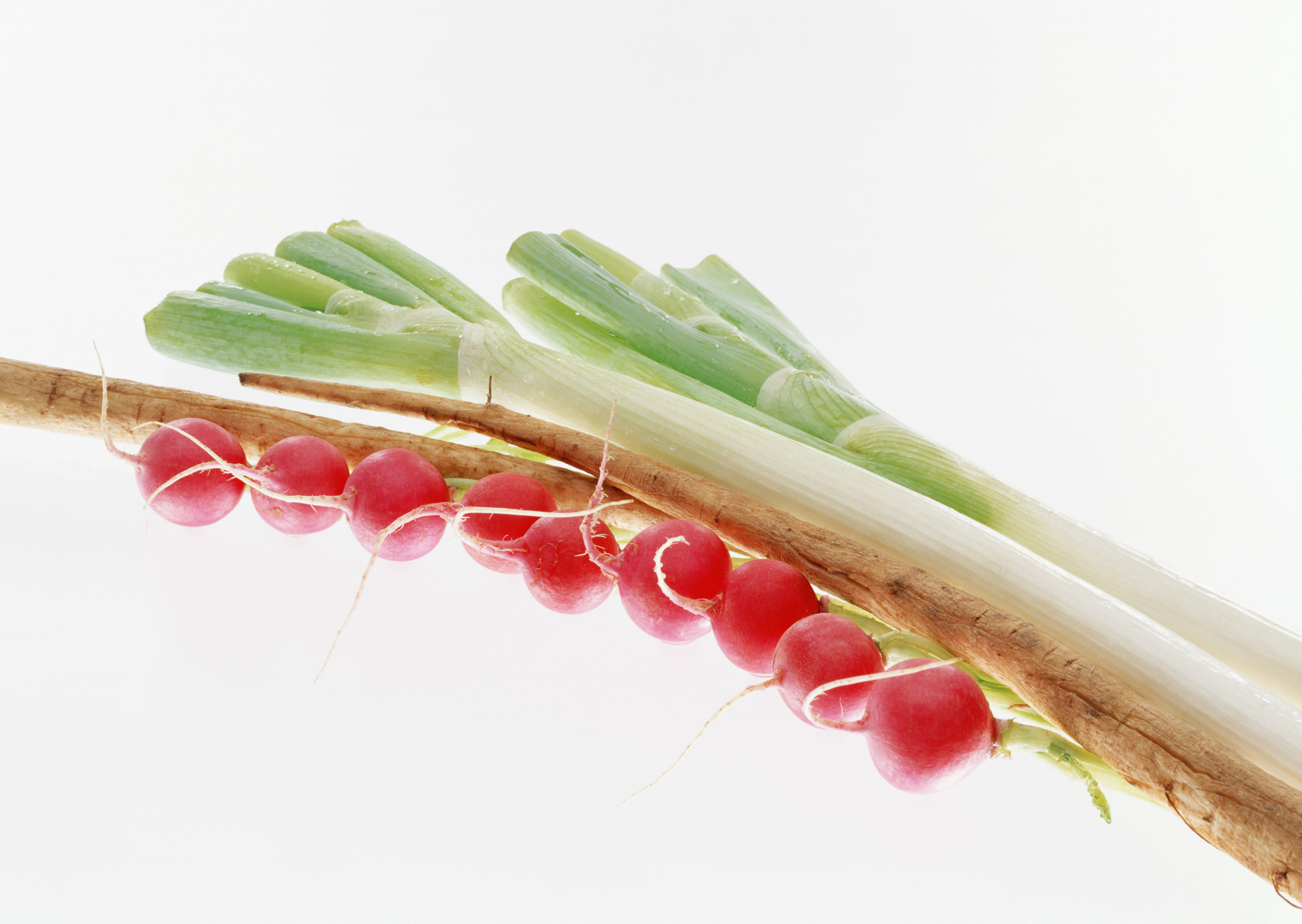 Free download high resolution image - free image free photo free stock image public domain picture -Bunch of fresh green onion and radishes