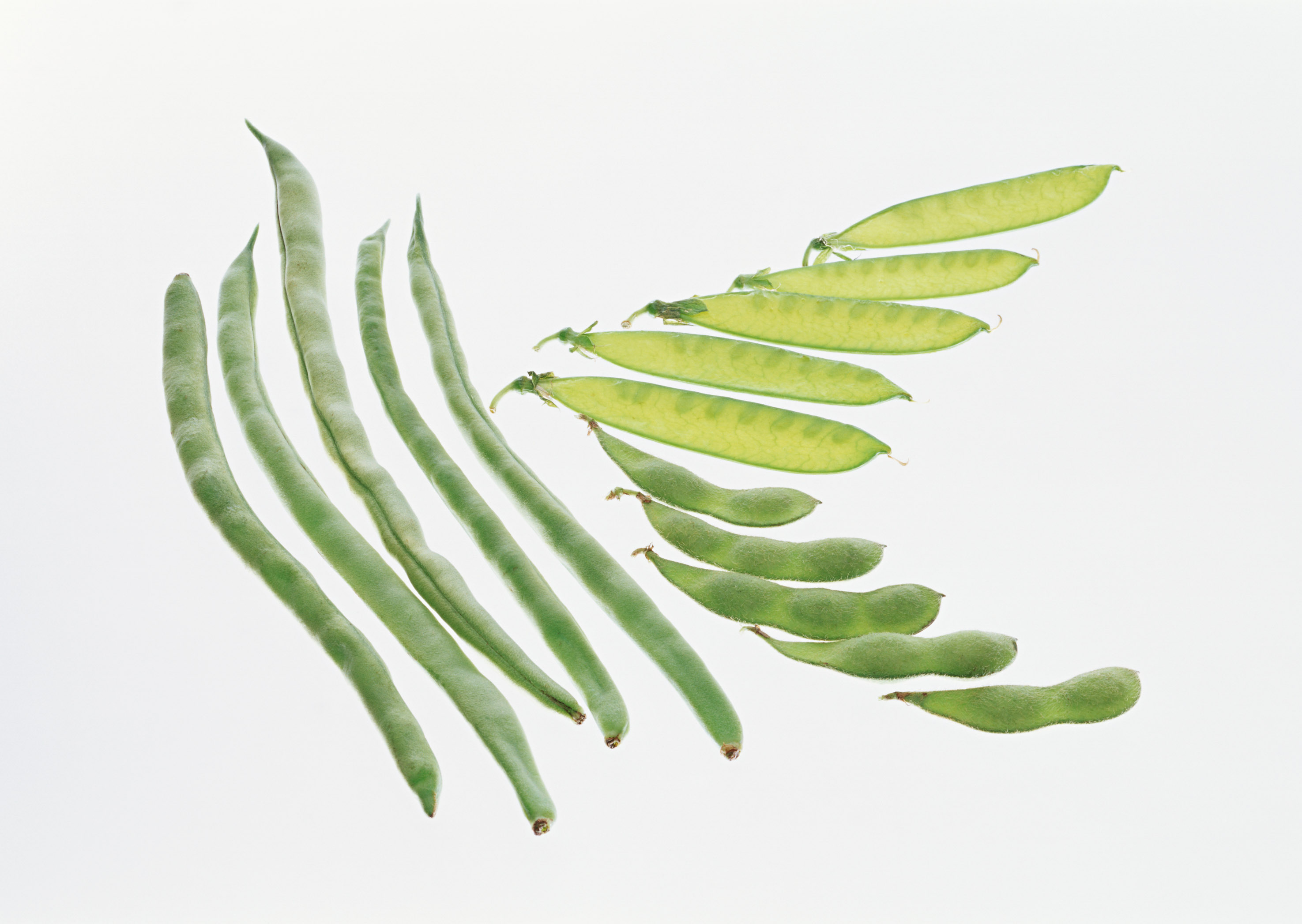 Free download high resolution image - free image free photo free stock image public domain picture -Green beans on white background