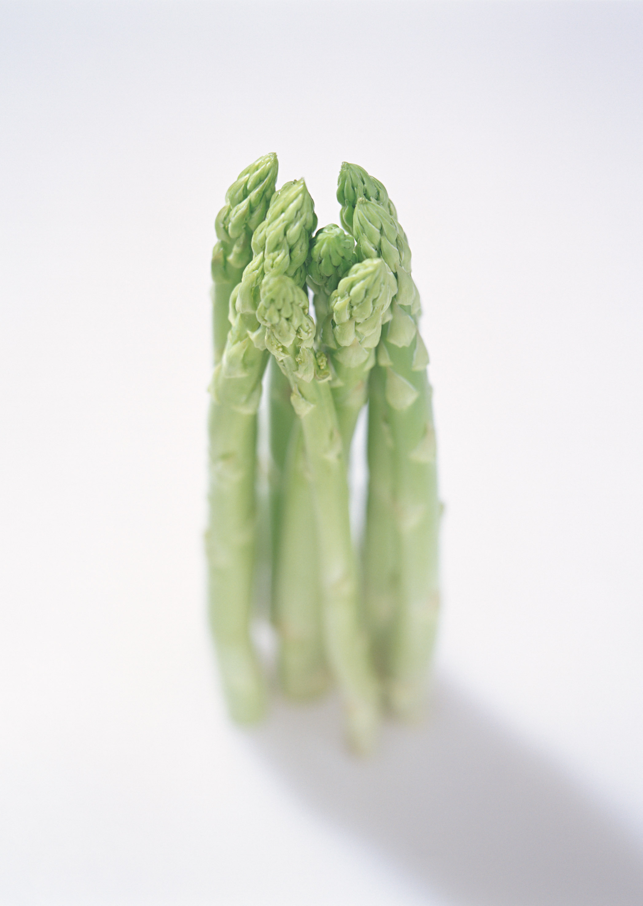 Free download high resolution image - free image free photo free stock image public domain picture -Fresh asparagus