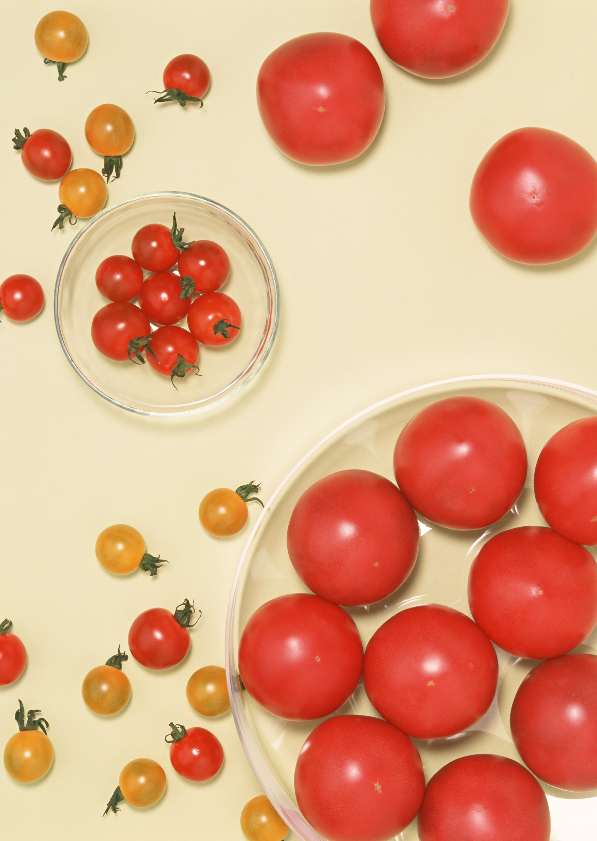 Free download high resolution image - free image free photo free stock image public domain picture -fresh red delicious tomatoes in  plate