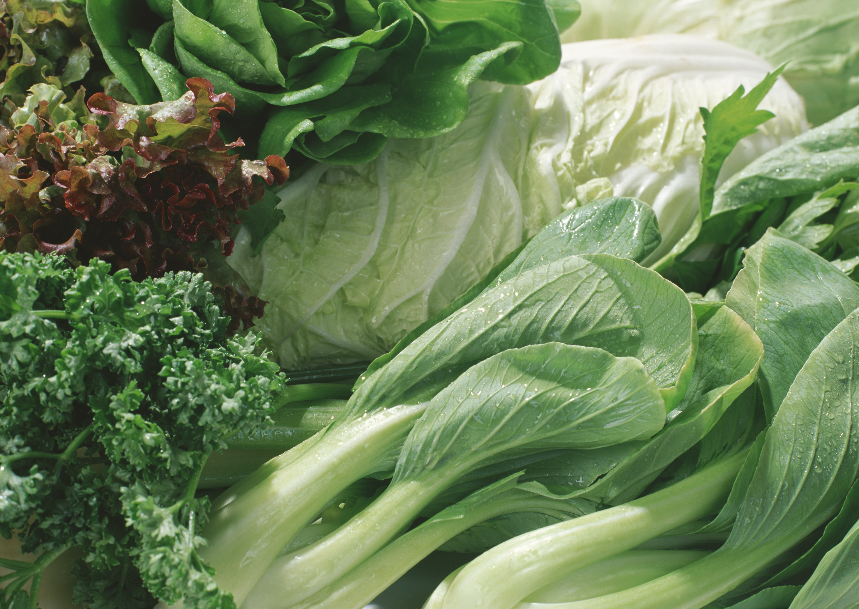 Free download high resolution image - free image free photo free stock image public domain picture -Variety of green vegetables on background