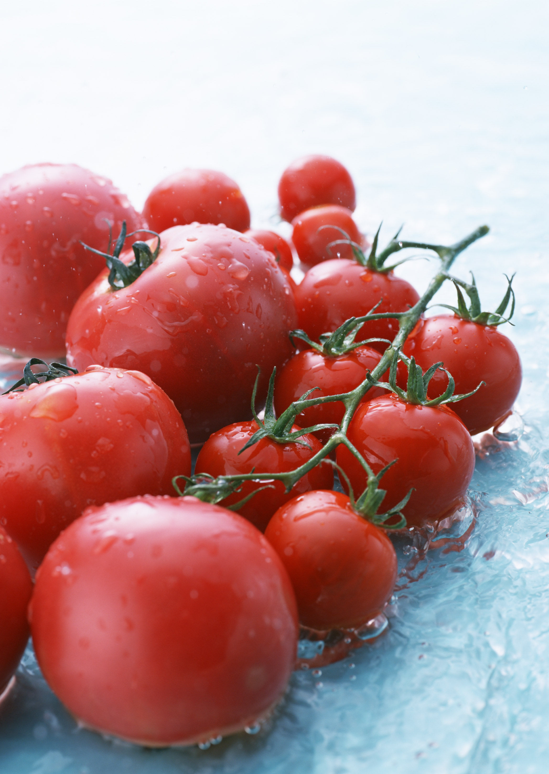 Free download high resolution image - free image free photo free stock image public domain picture -Red tomatoes with water splashes