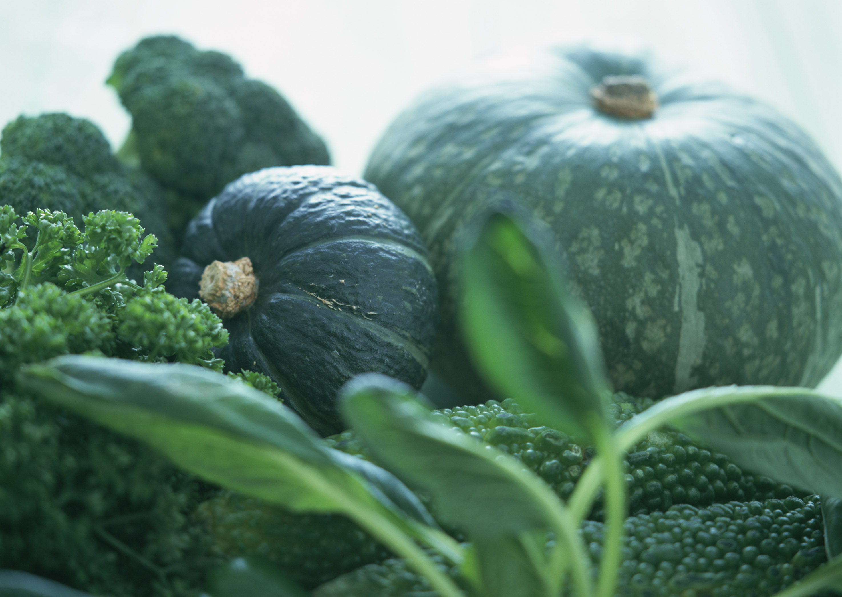 Free download high resolution image - free image free photo free stock image public domain picture -Set of green vegetables