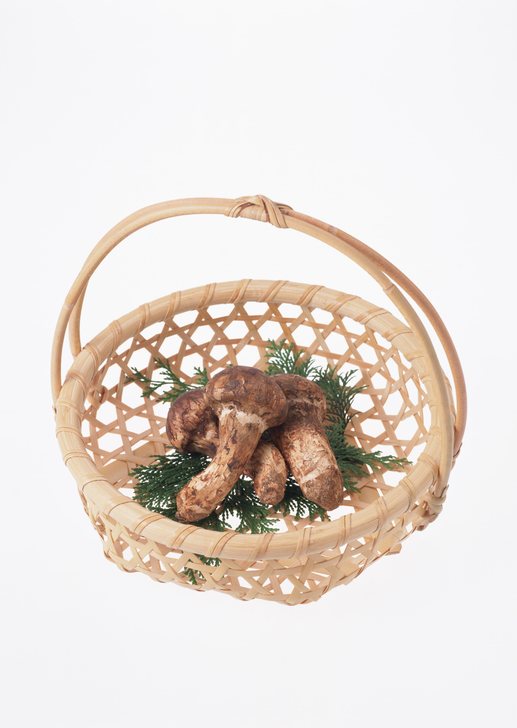 Free download high resolution image - free image free photo free stock image public domain picture -Matsutake Mushroom on a basket