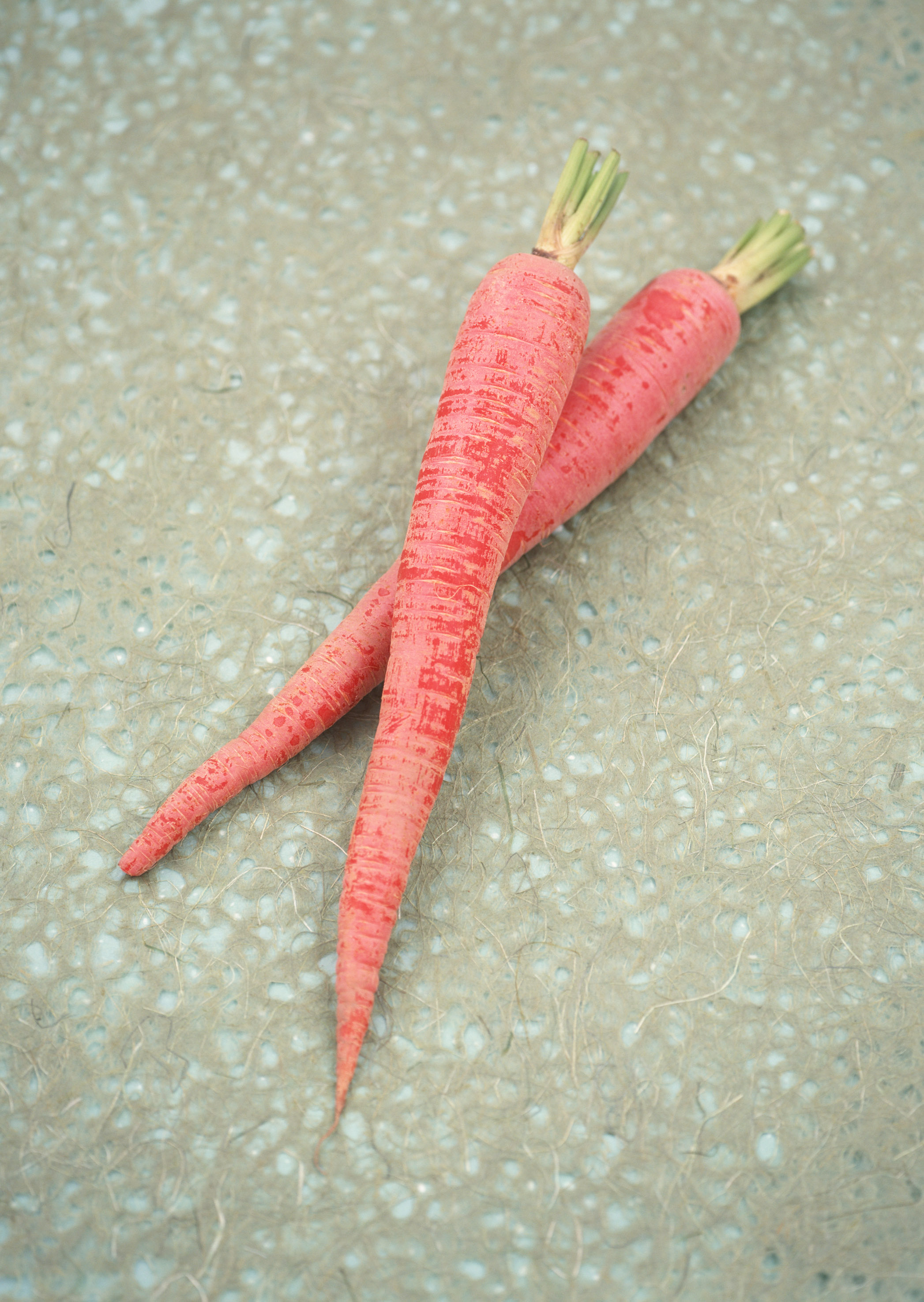 Free download high resolution image - free image free photo free stock image public domain picture -fresh two carrots