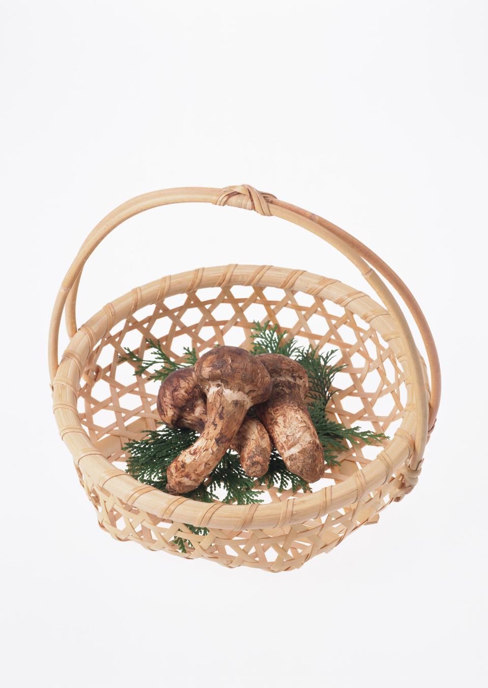 Free download high resolution image - free image free photo free stock image public domain picture  Matsutake Mushroom on a basket