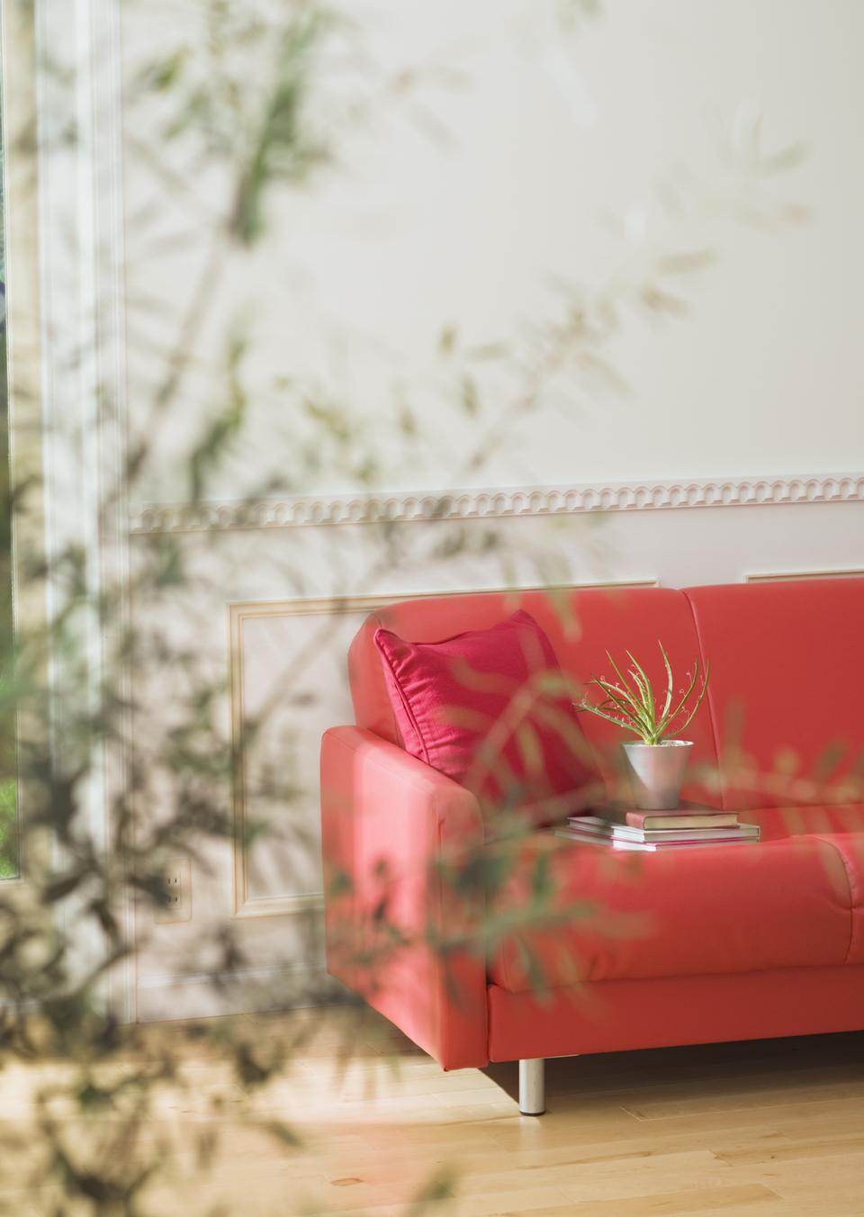 Free download high resolution image - free image free photo free stock image public domain picture  Red sofa with tea table and tree in pot interior