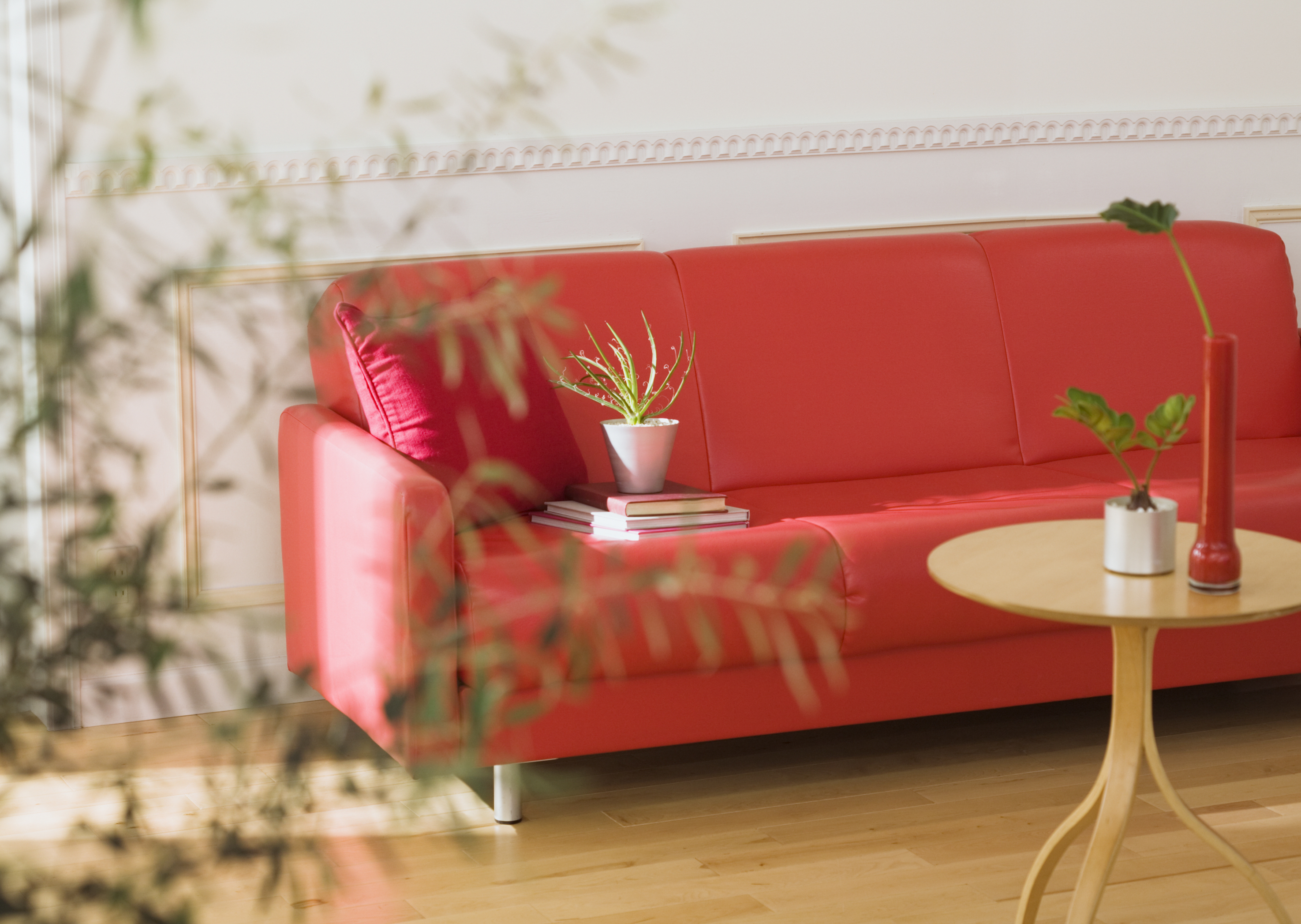 Free download high resolution image - free image free photo free stock image public domain picture -Realistic red sofa with tea table and tree in pot interior