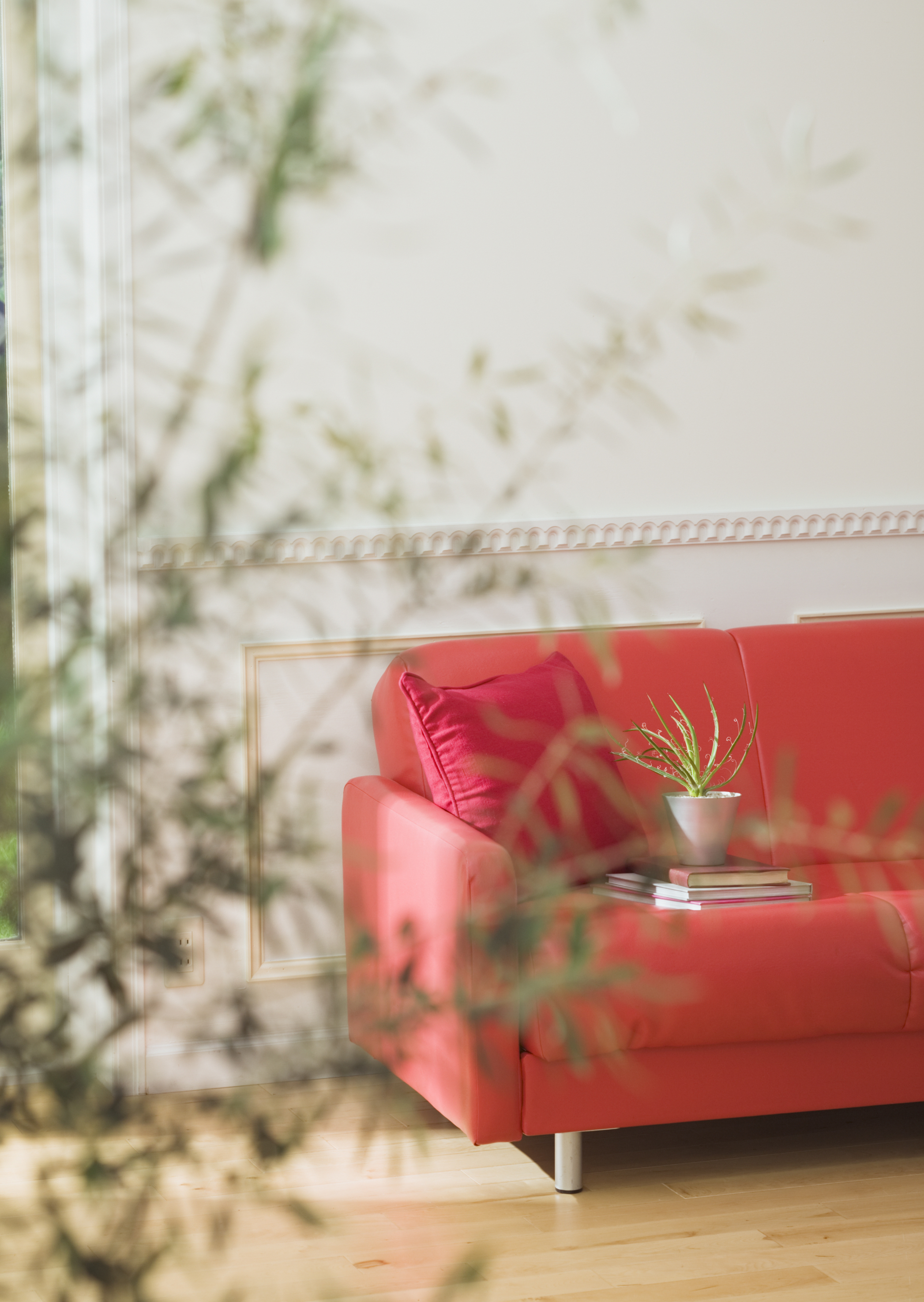 Free download high resolution image - free image free photo free stock image public domain picture -Red sofa with tea table and tree in pot interior