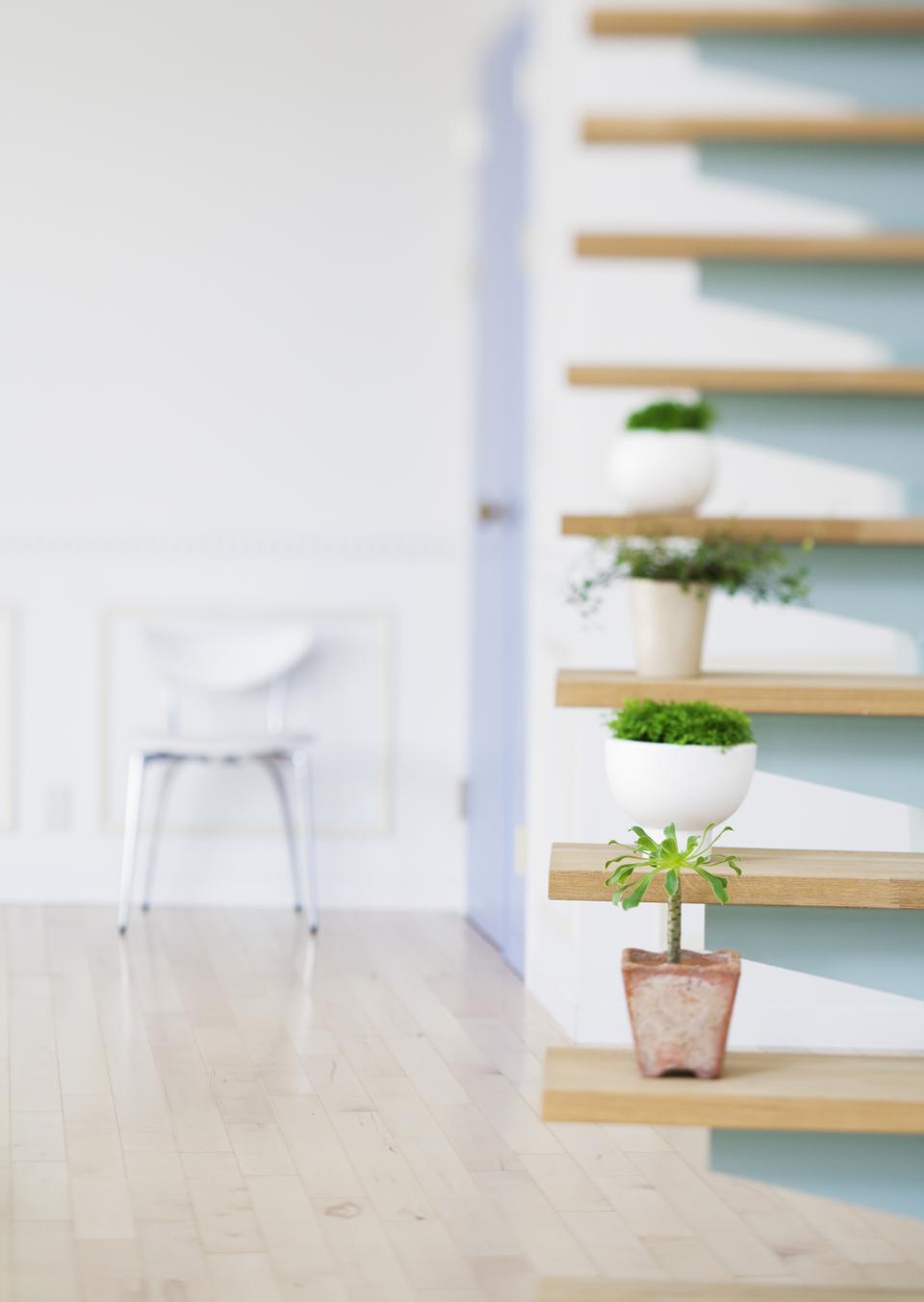 Free download high resolution image - free image free photo free stock image public domain picture  Flowerpots situated on wooden stairs in livingroom