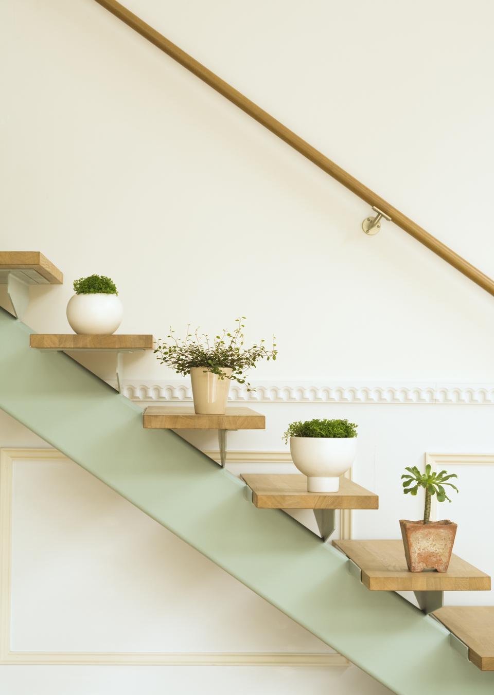 Free download high resolution image - free image free photo free stock image public domain picture  Flowerpots situated on wooden stairs in luxury home