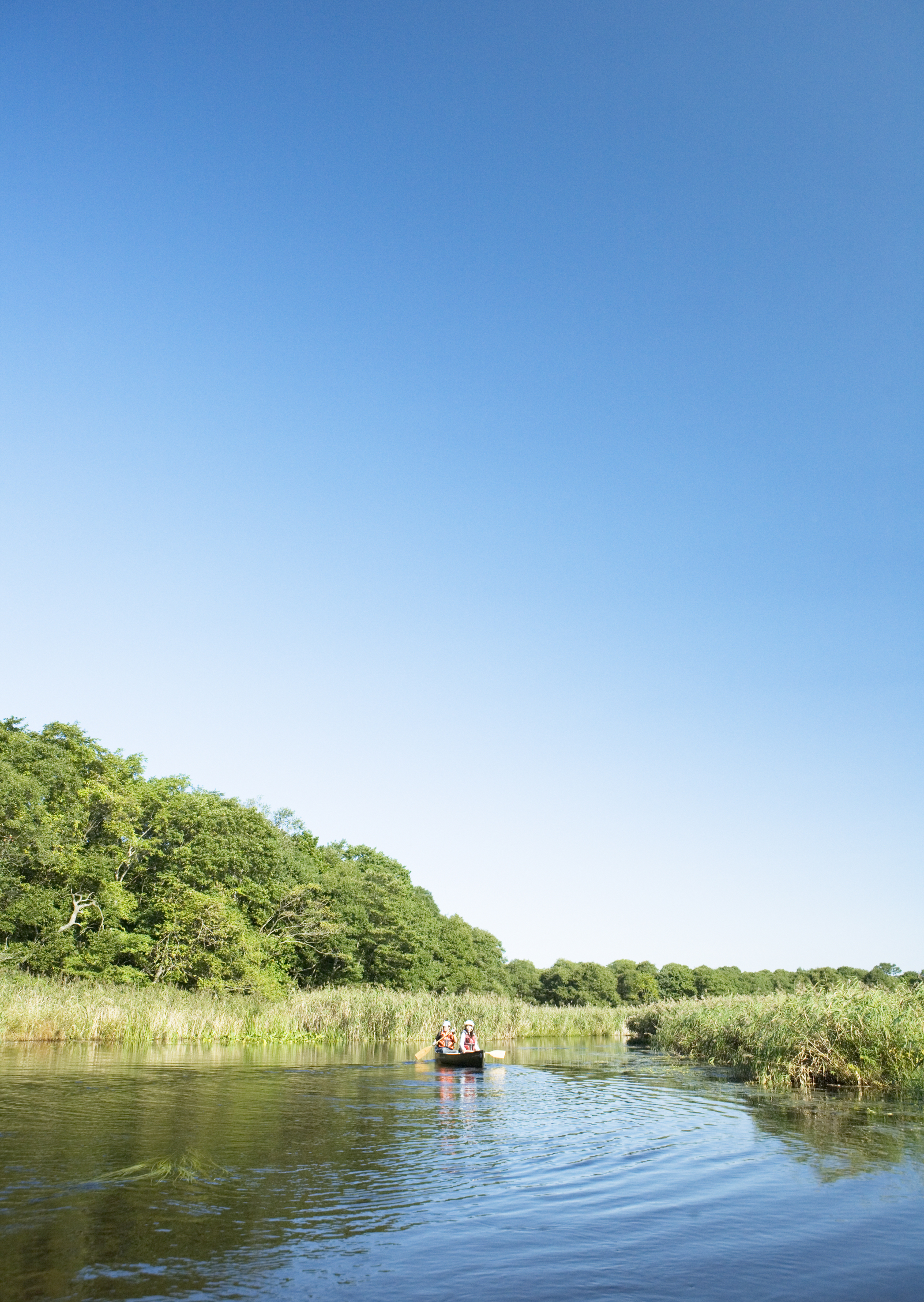 Free download high resolution image - free image free photo free stock image public domain picture -Woman paddling a boat carry tourist in the flooded forest