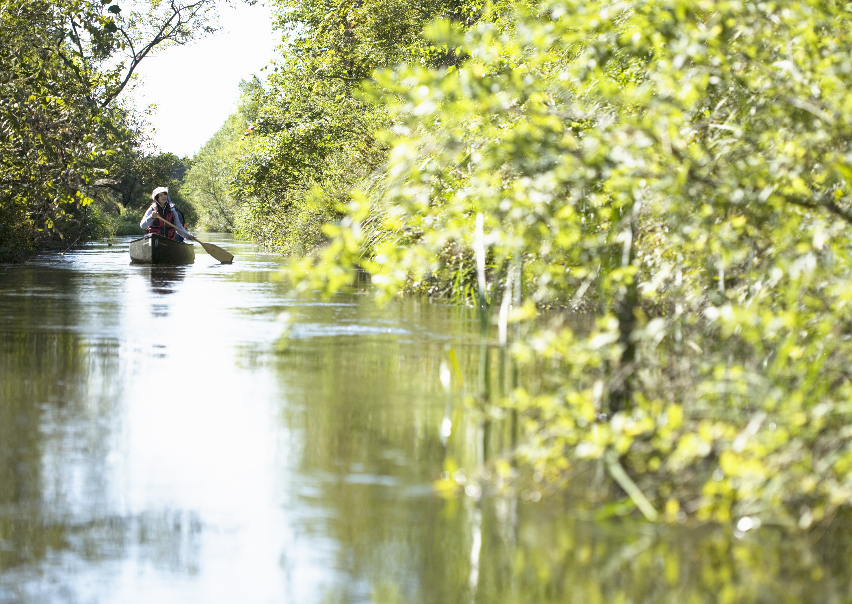 Free download high resolution image - free image free photo free stock image public domain picture -Woman paddling a boat carry tourist in the flooded forest