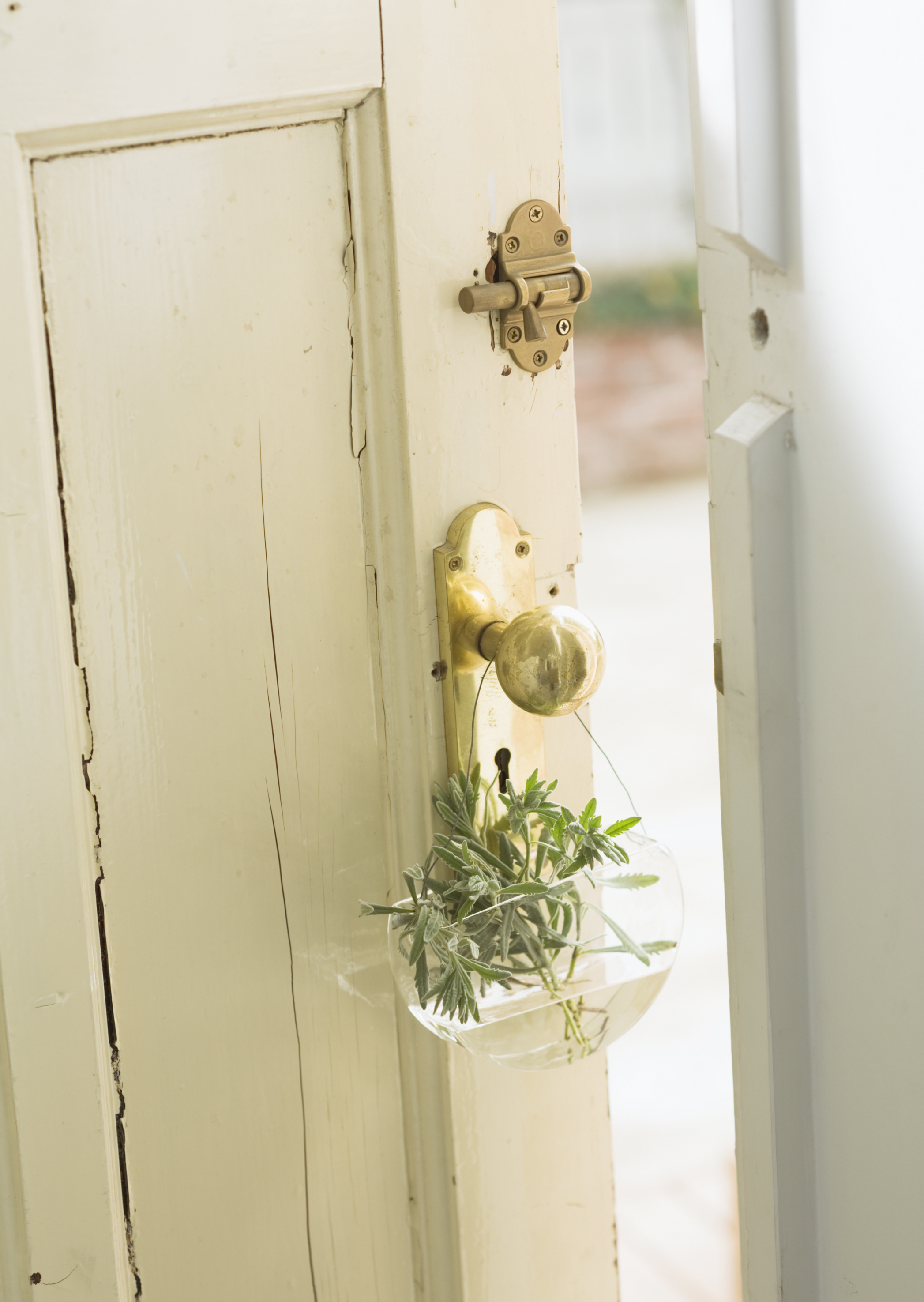 Free download high resolution image - free image free photo free stock image public domain picture -Door decorated with glass pot