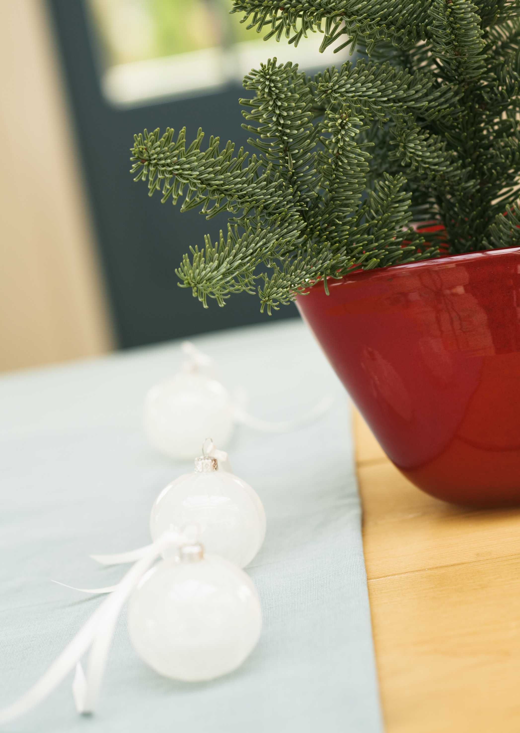 Free download high resolution image - free image free photo free stock image public domain picture -Christmas decoration in heart shape in red pot