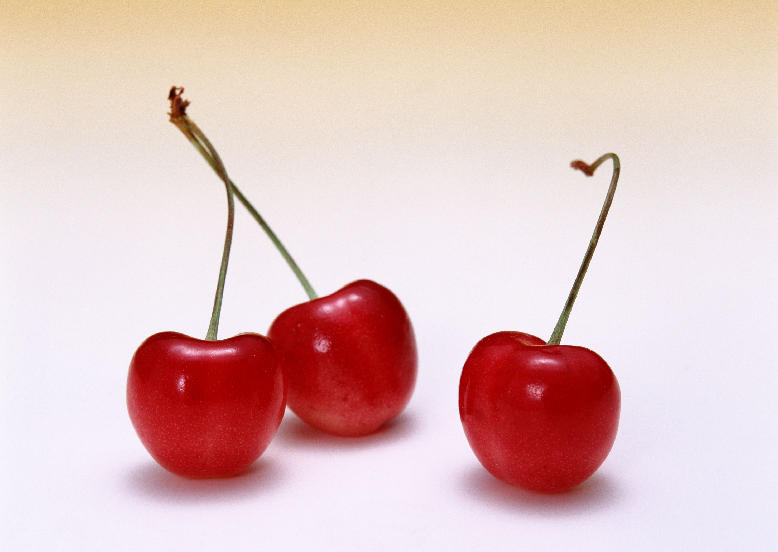 Free download high resolution image - free image free photo free stock image public domain picture -Sweet cherry