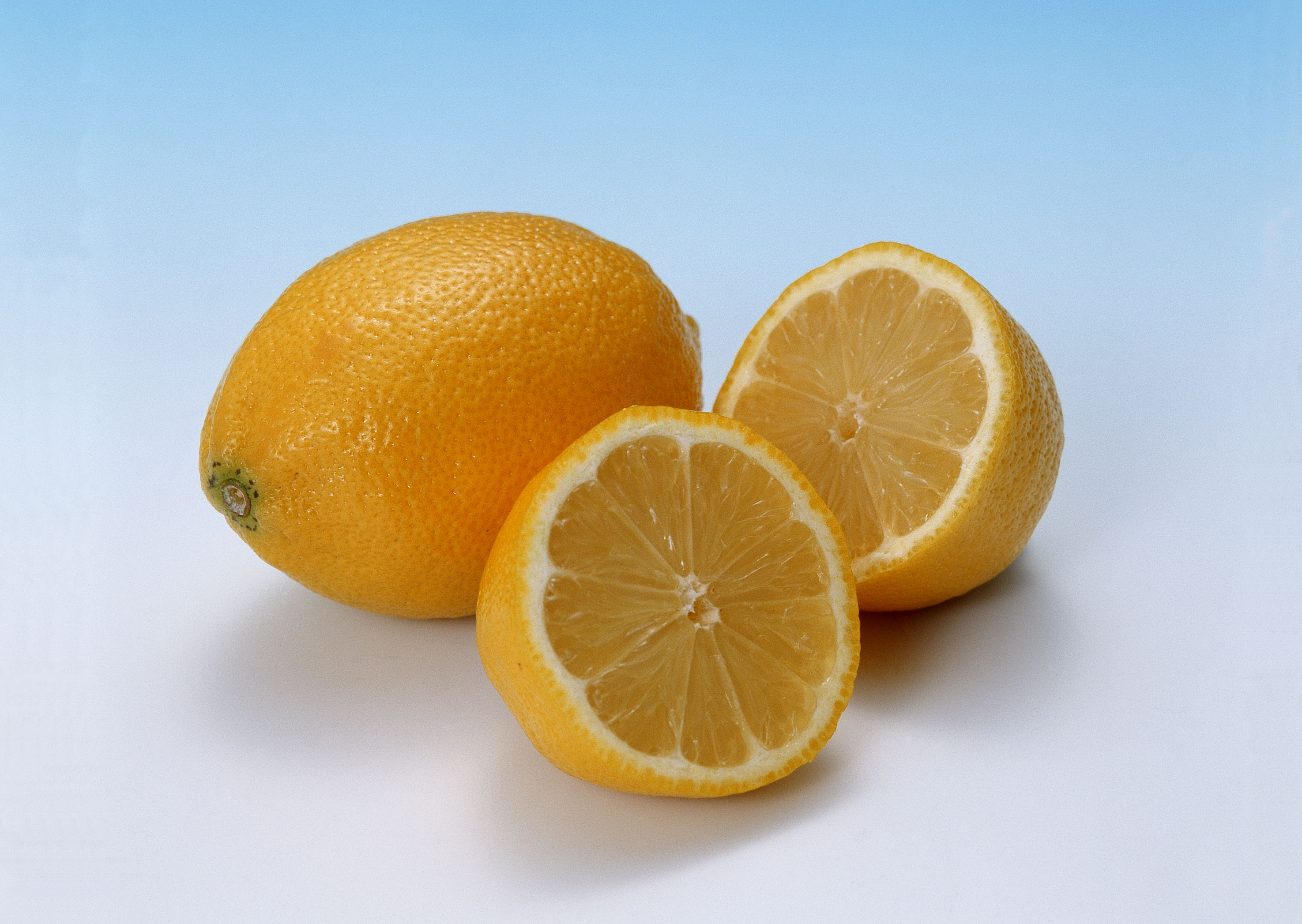 Free download high resolution image - free image free photo free stock image public domain picture -Lemon with slice