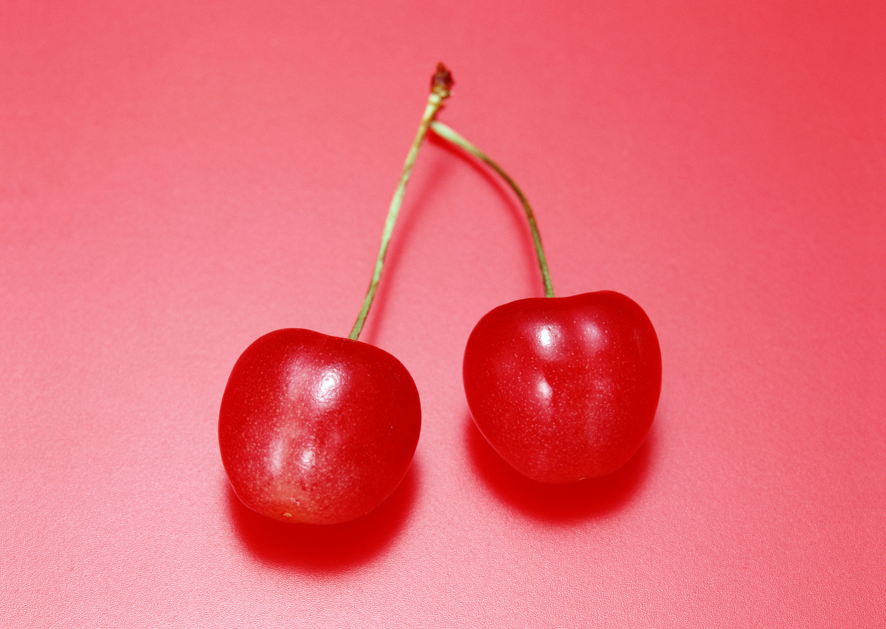 Free download high resolution image - free image free photo free stock image public domain picture -Ripe red cherry berries