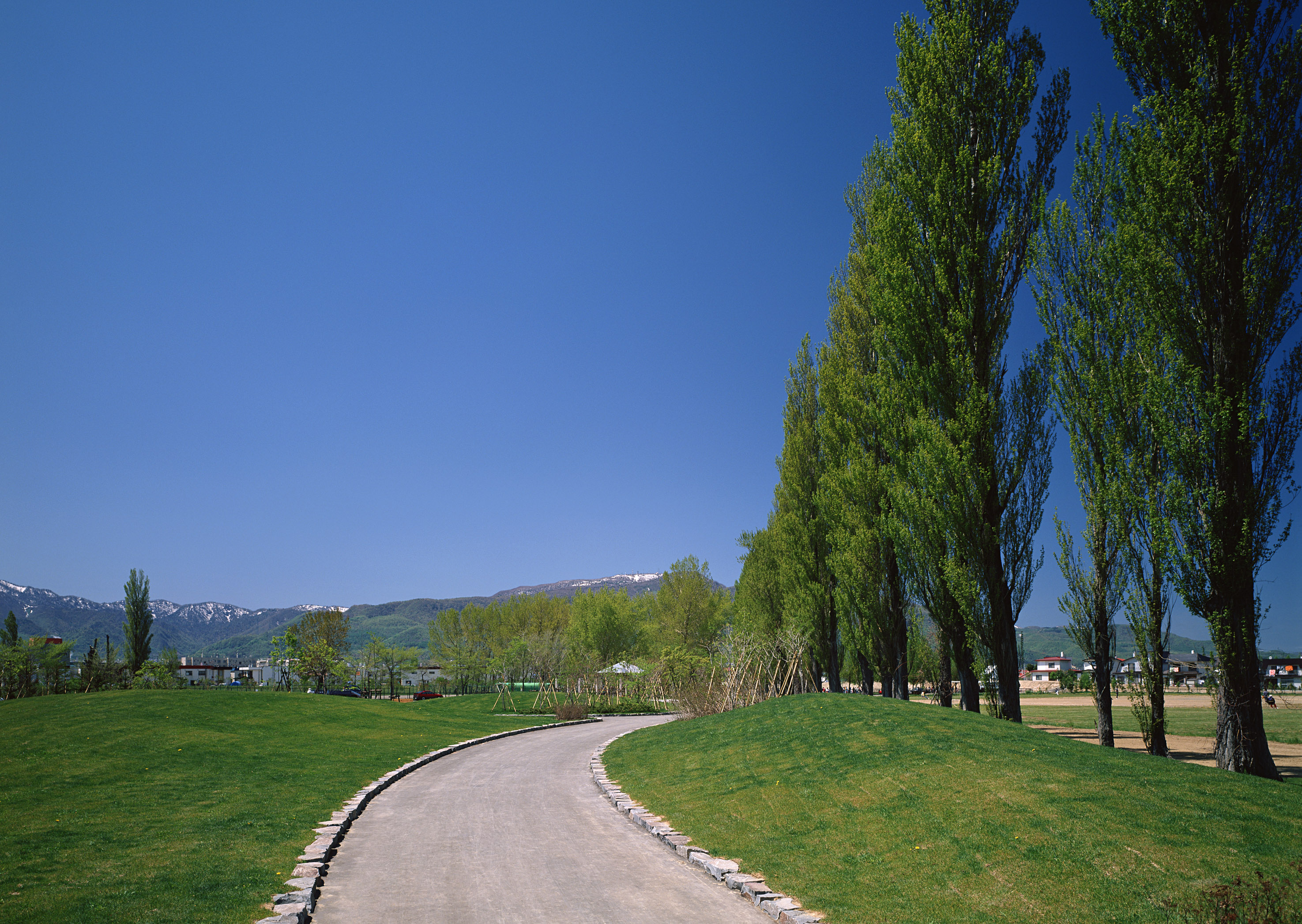 Free download high resolution image - free image free photo free stock image public domain picture -Country road,green trees